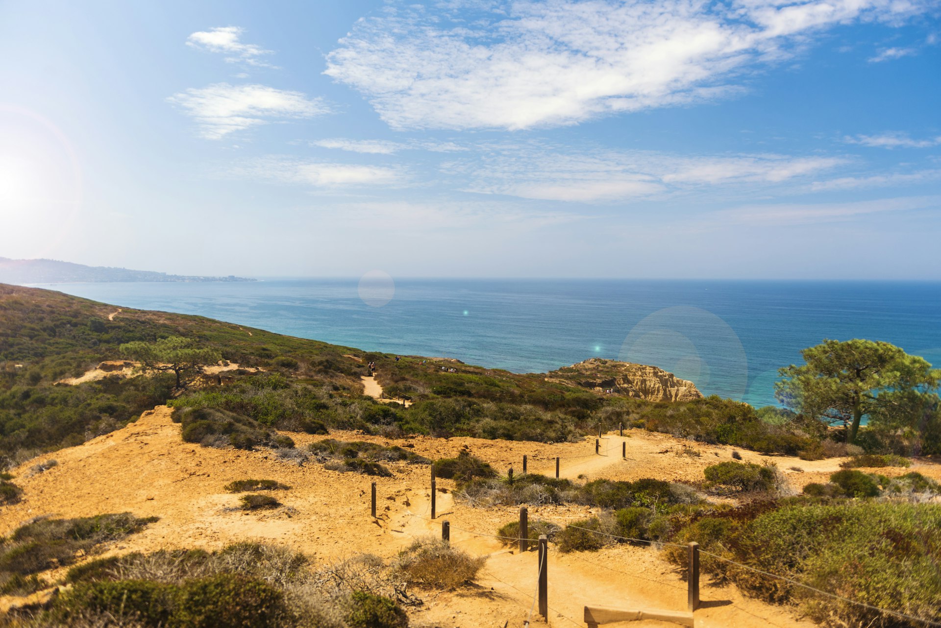A view across the greenery of Torrey Pines State Reserve in ,San Diego with the golden sands of Blacks Beach below