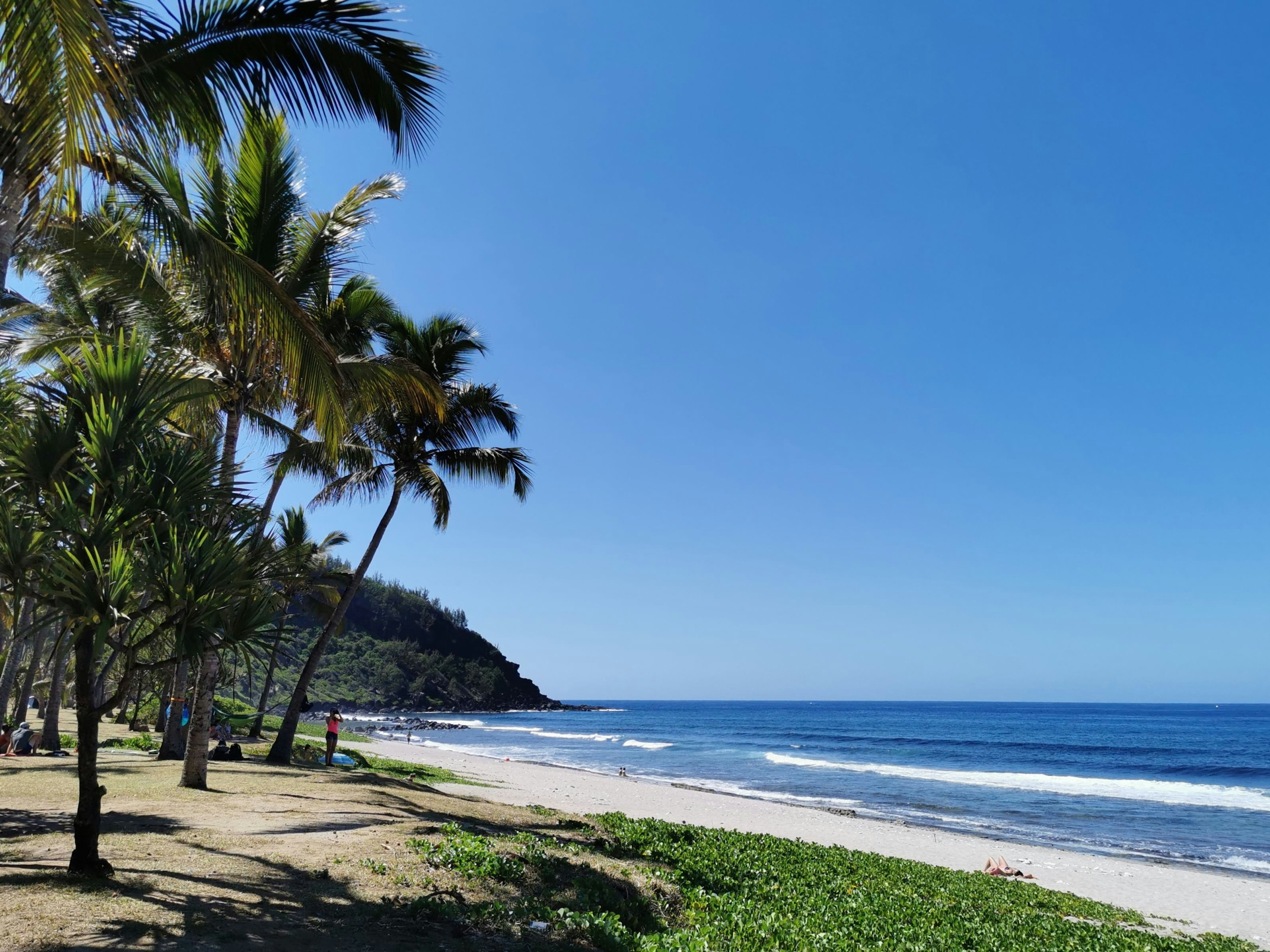 a white sandy beach with palm trees on a bright sunny day