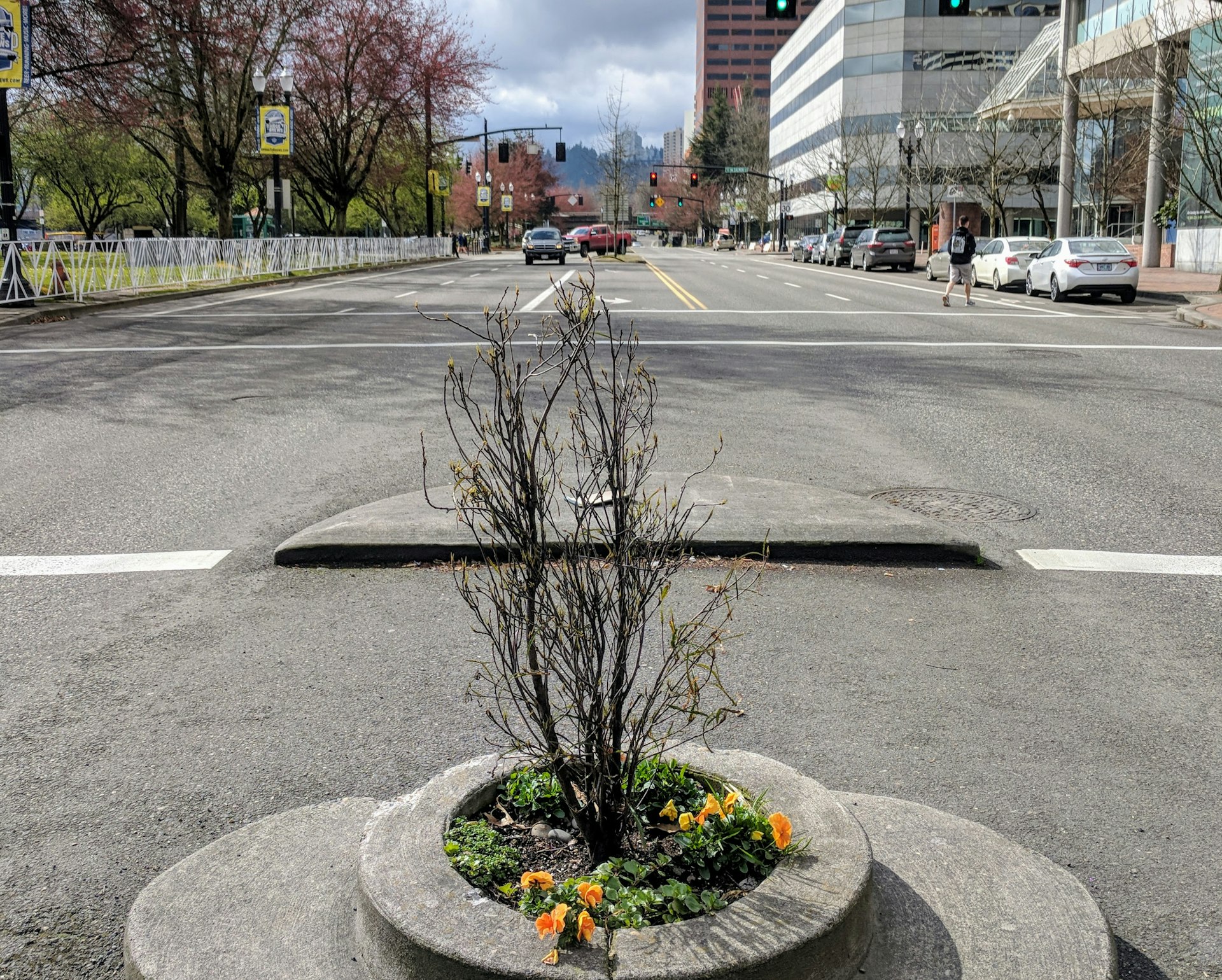 A tiny circular park is in the middle of a busy road in downtown Portland, Oregon. Orange flowers are planted in it, along with a tree. On the horizon, you can see the outline of skyscraper and trees.