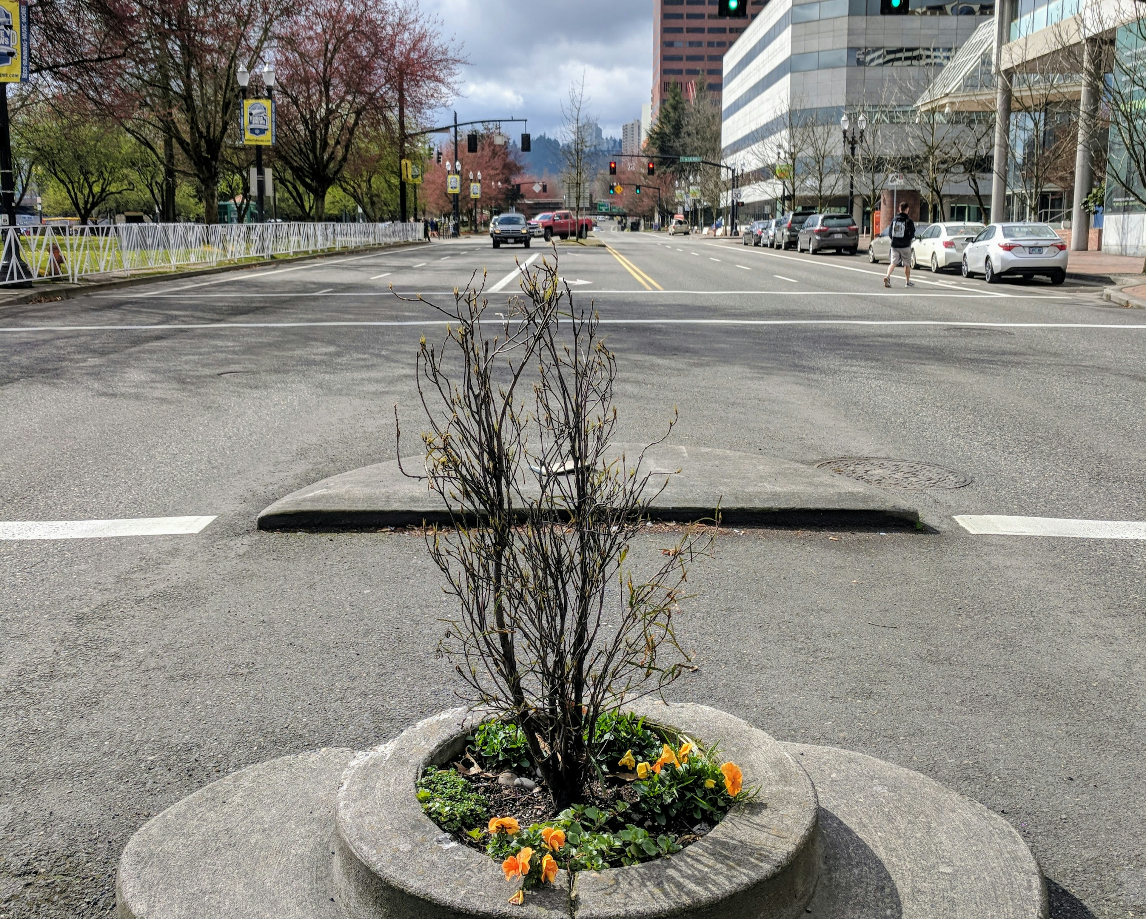 A tiny circular park is in the middle of a busy road in downtown Portland, Oregon.