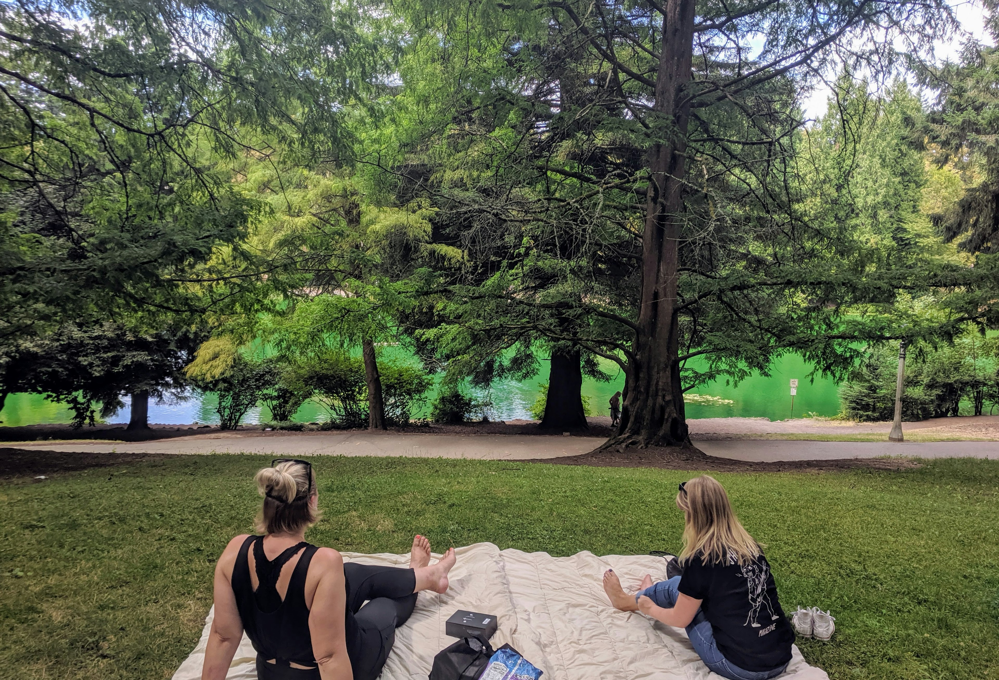 The spring-fed pond in Laurelhurst Park in Portland, Oregon