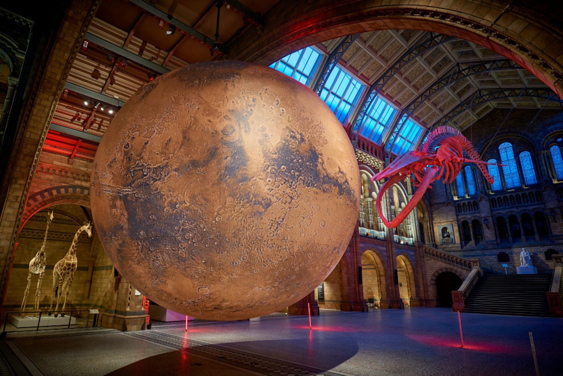 The Mars installation in the Hintze Hall at the Natural History Museum 