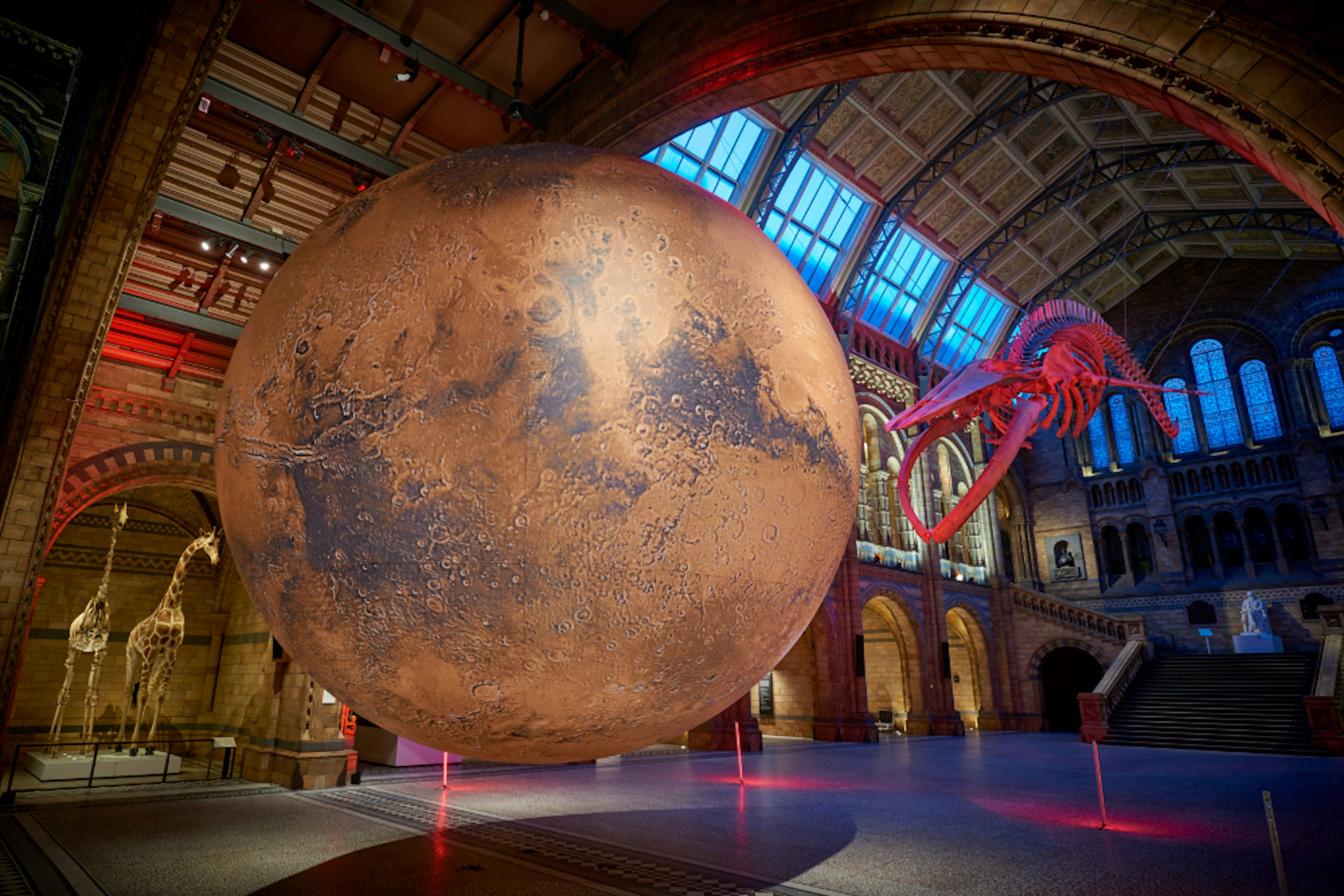 The Mars installation in the Hintze Hall at the Natural History Museum