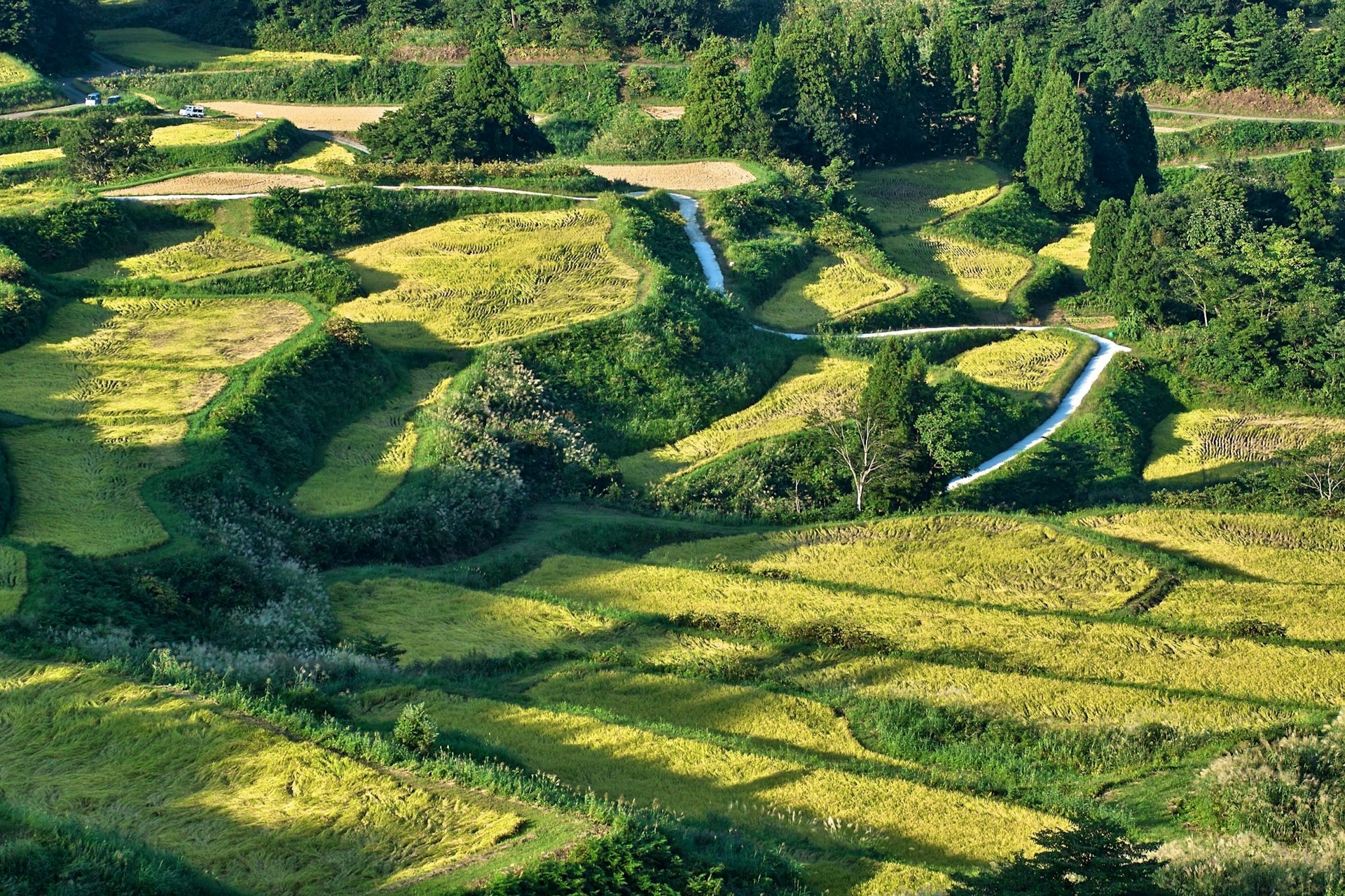 Rice terrace of Tokamachi-shi