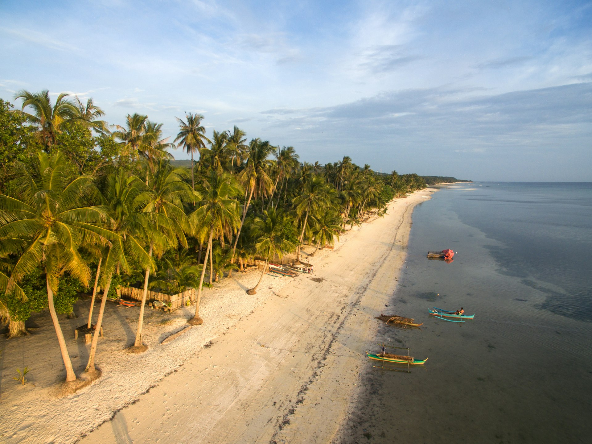 An aerial view of palm-backed Paliton Beach on Siquijor Island. The beach has white sands and is lapped by shallow blue waters.
