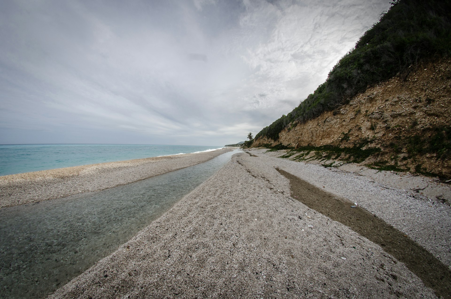 Shell filled beach on a dark cloudy day. There is a hill covered with trees to the left. 