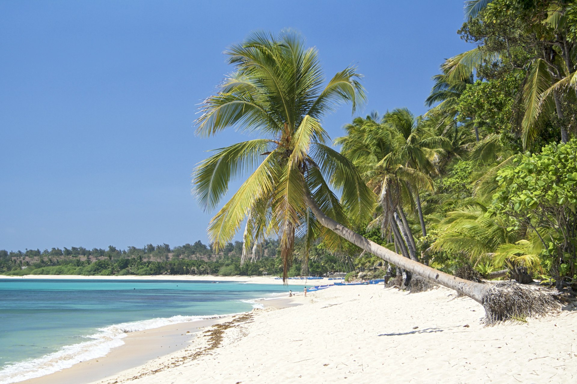 A view of Saud Beach, with palm trees leaning across white sands. Blue water laps the shore.