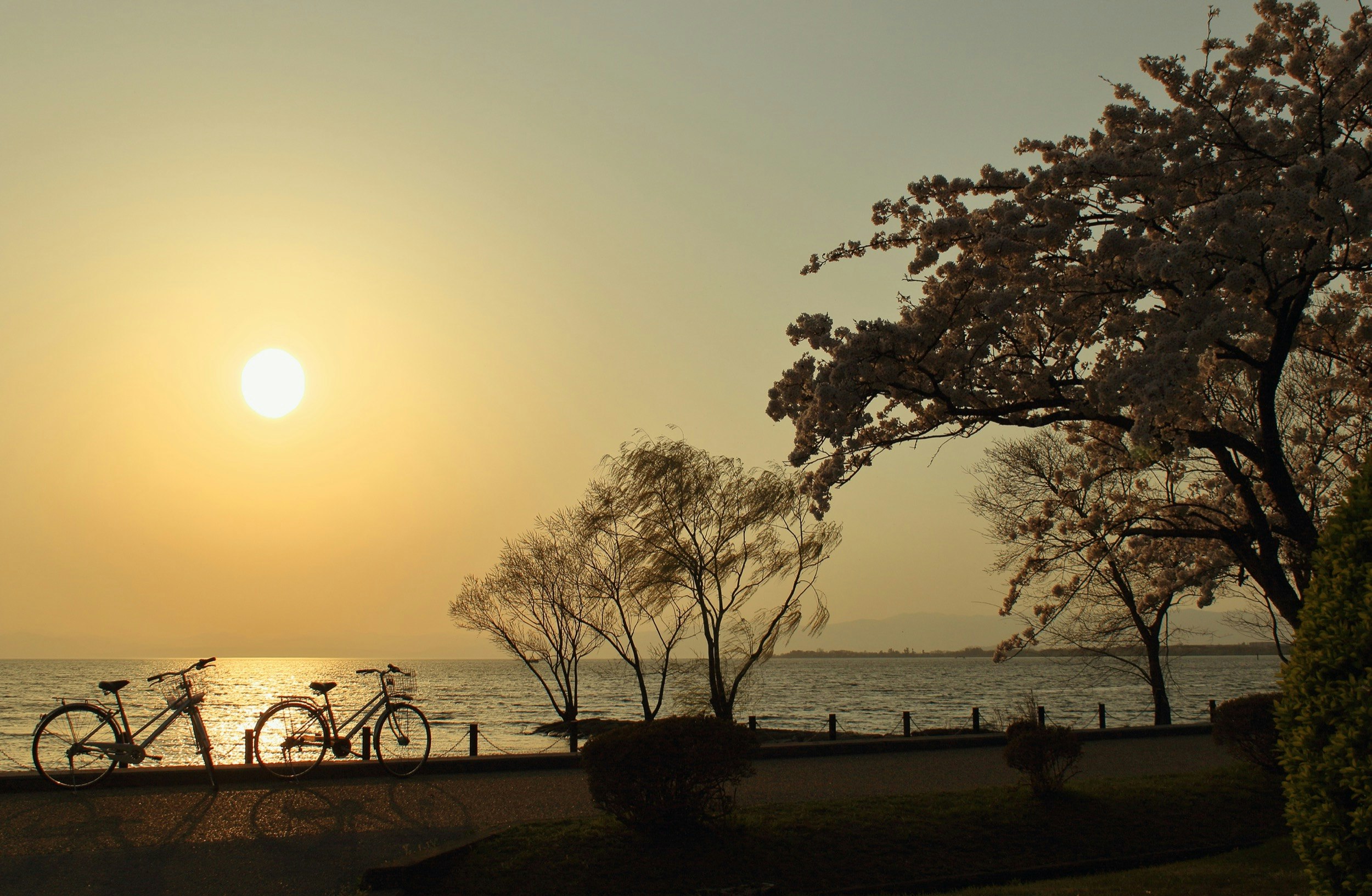 Shiga Lake Biwa.jpg