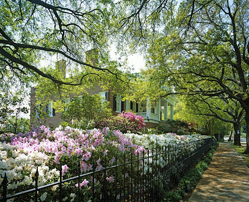 UNITED STATES - APRIL 15:  Springtime in Natchez, Mississippi (Photo by Carol M. Highsmith/Buyenlarge/Getty Images)
