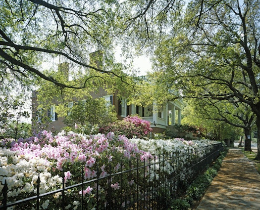 UNITED STATES - APRIL 15:  Springtime in Natchez, Mississippi (Photo by Carol M. Highsmith/Buyenlarge/Getty Images)
