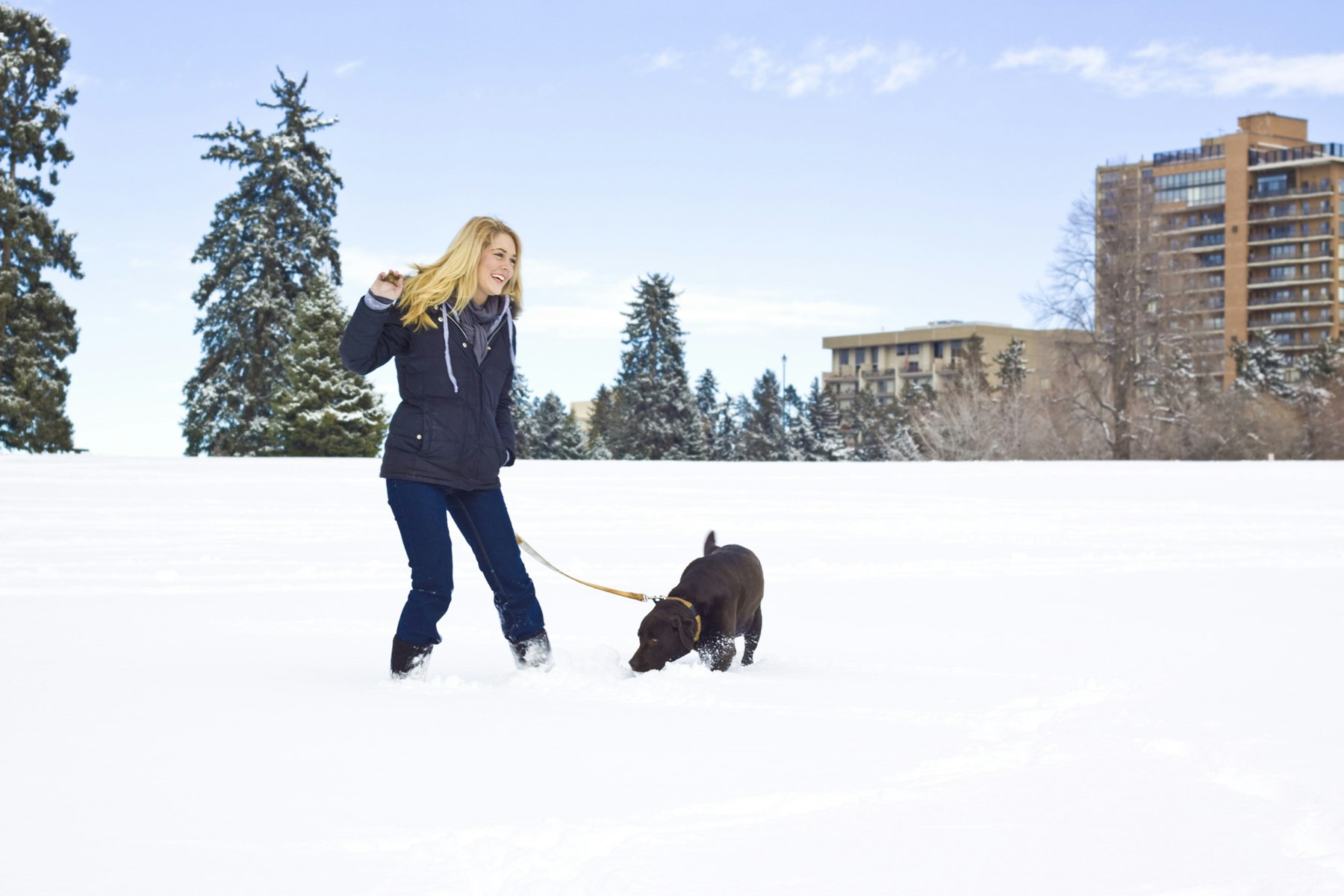 A woman plays with a dog in a snowy park in Denver, Colorado