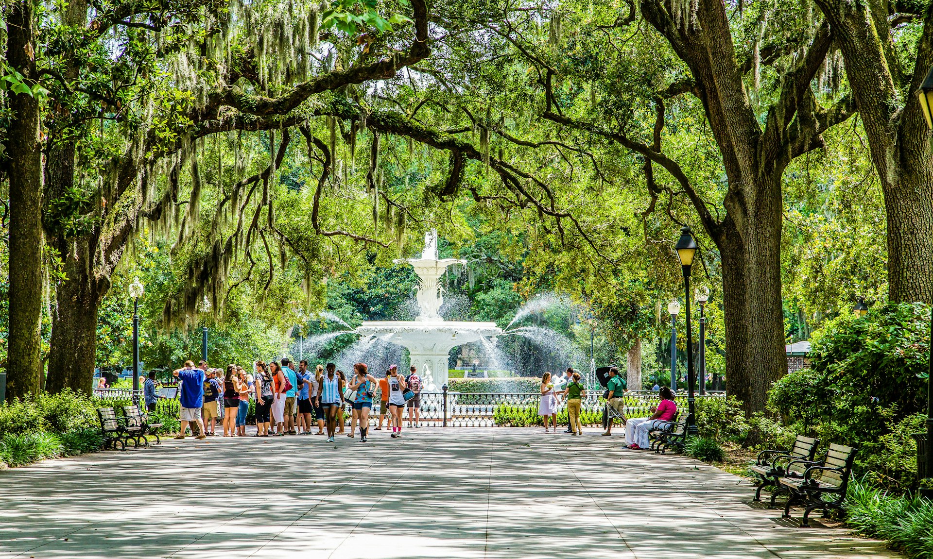 A long pathway lined with trees whose branches create a tunnel. People gather round a white water fountain at the end of the path