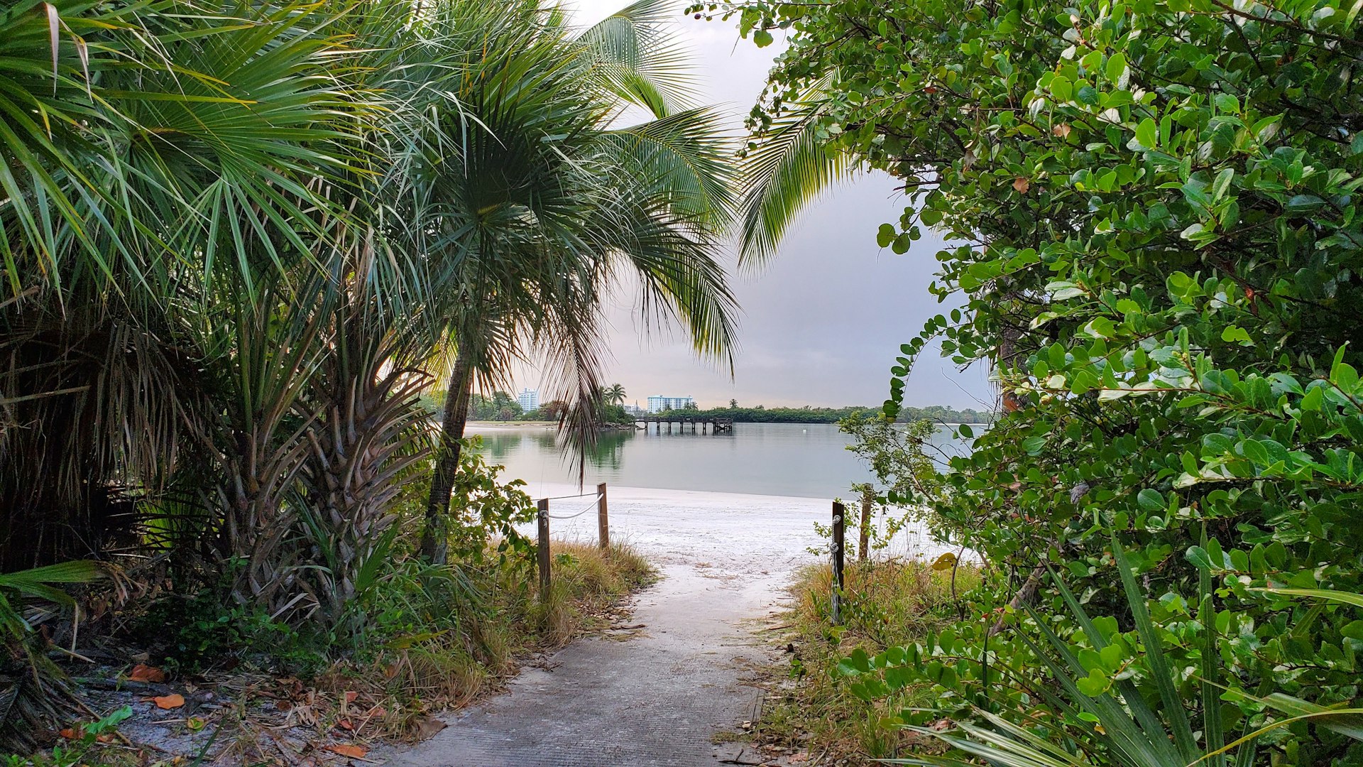 A tree-covered entrance to a beach