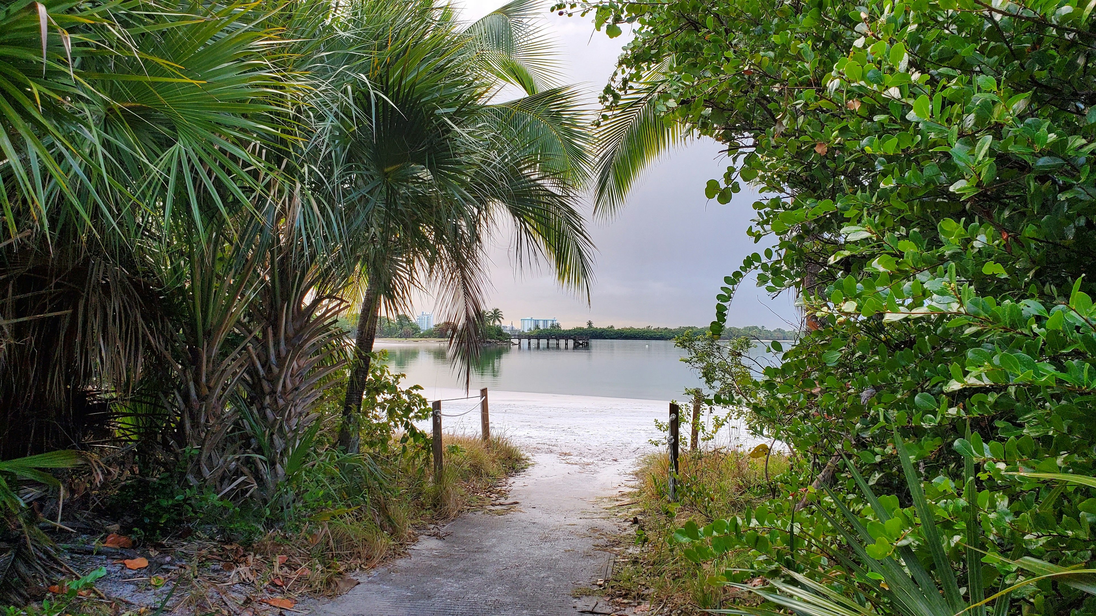 A tree-covered entrance to Bal Harbour Beach