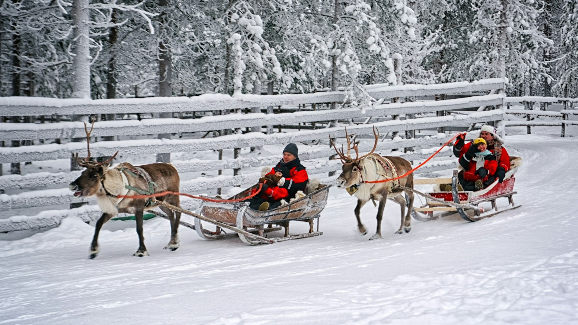 Two sleds pulled by reindeer through a snowy landscape. There is an adult and a child in the back of each sled wearing winter clothing to keep them warm