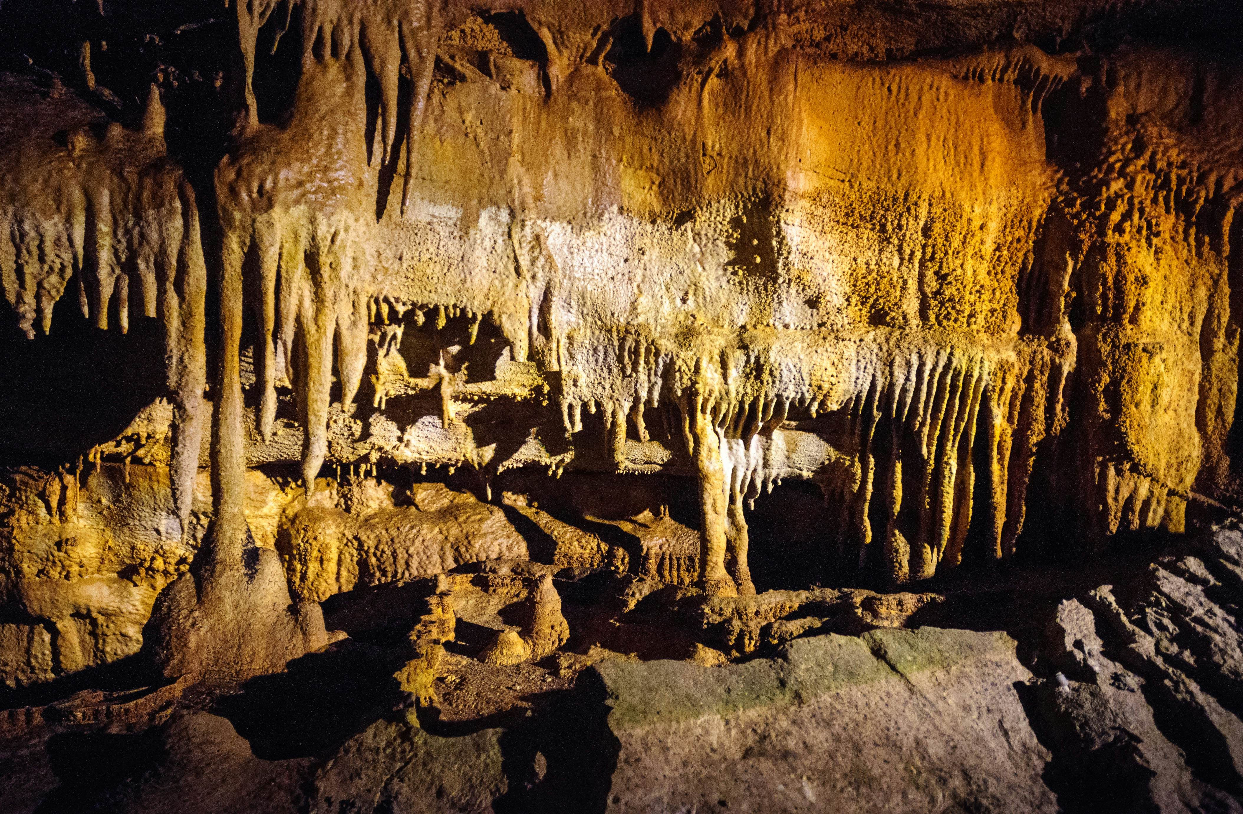 The complete guide to Mammoth Cave National Park - Lonely Planet