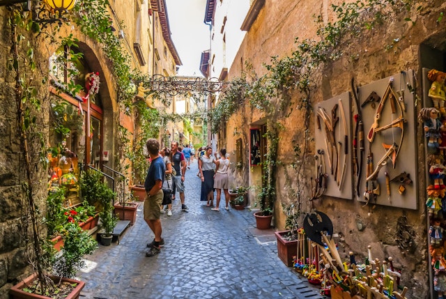 A plant-covered alleyway along a cobble-stone path