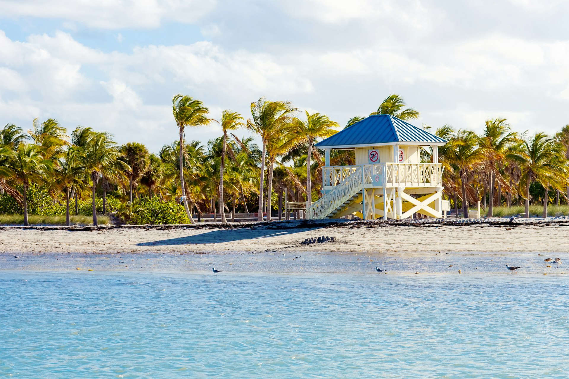 Crandon Park Beach located in Key Biscayne in Miami, Florida, USA 