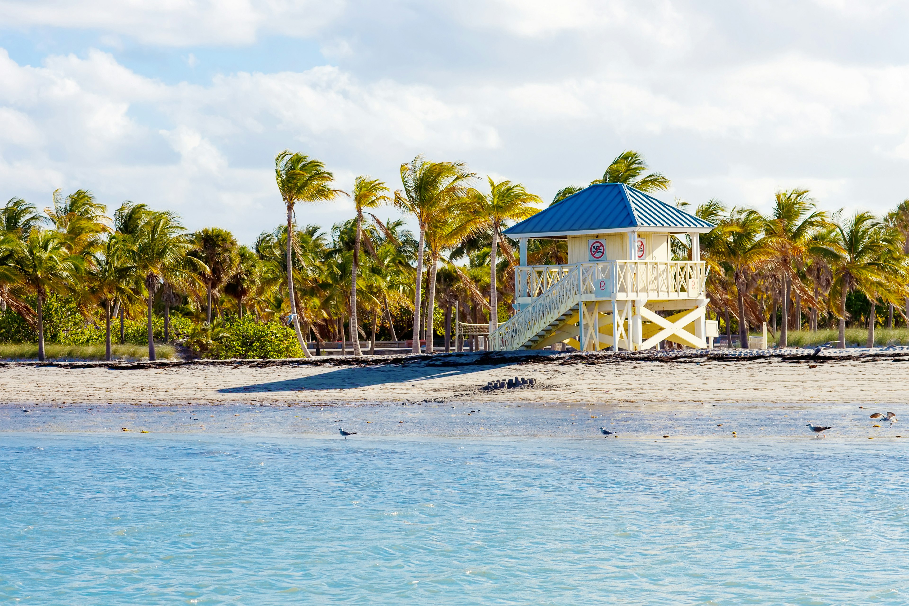 Crandon Park Beach located in Key Biscayne in Miami, Florida, USA