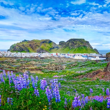 Panoramic View of Vestmannaeyjar town on Westman Islands of Iceland