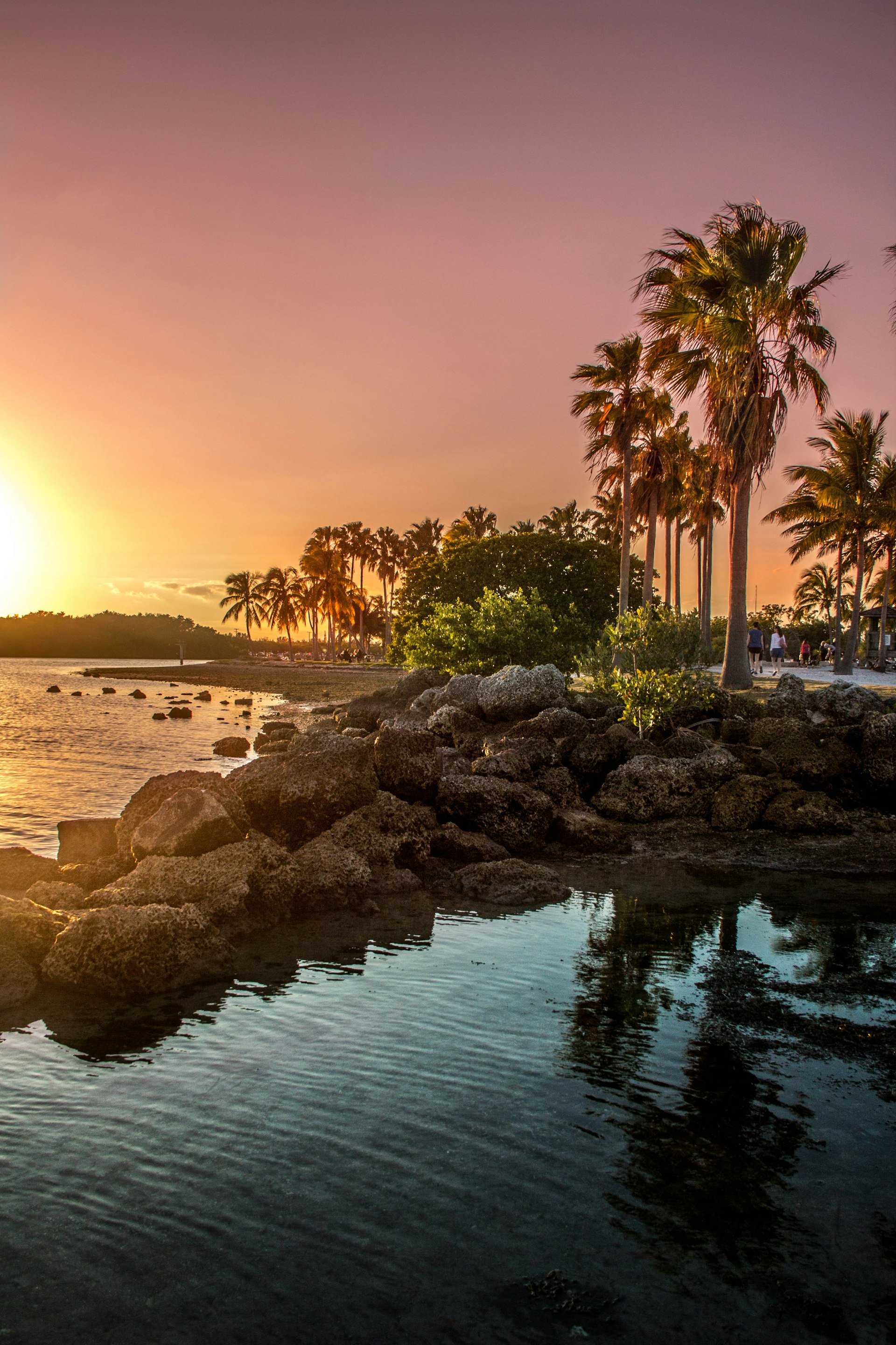 Sunset over a rocky coastal area with palm trees