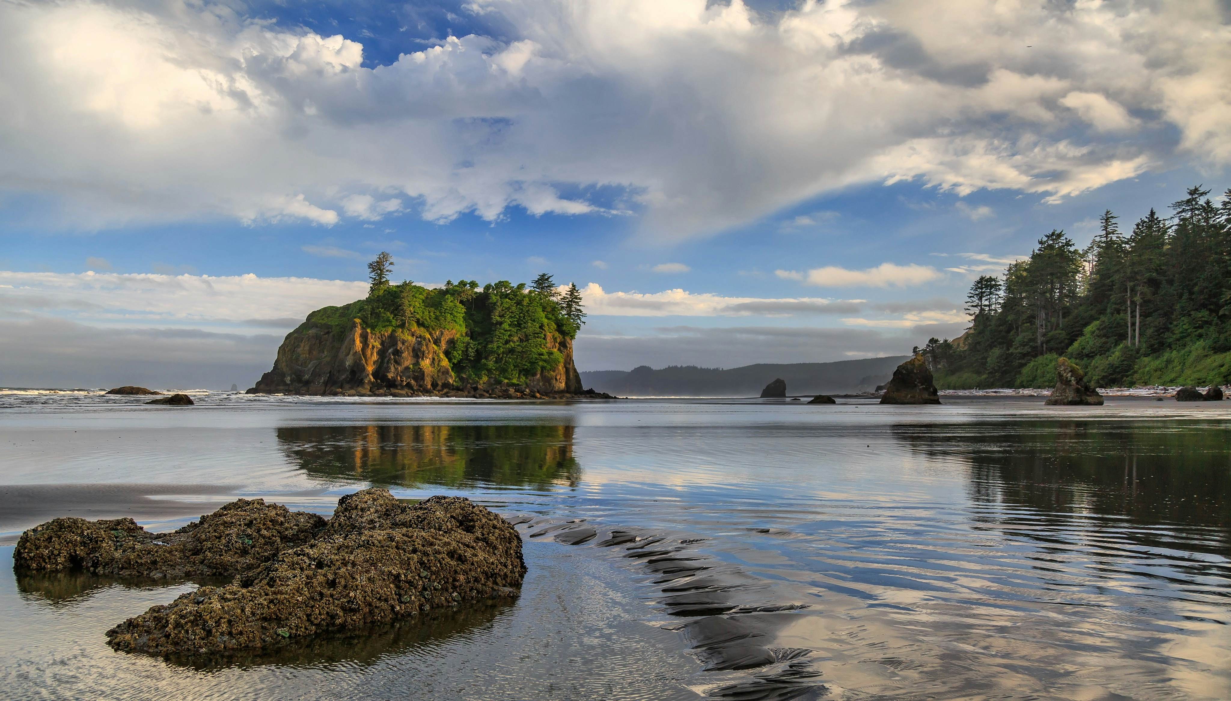 The 13 Best Beaches In Washington - Lonely Planet