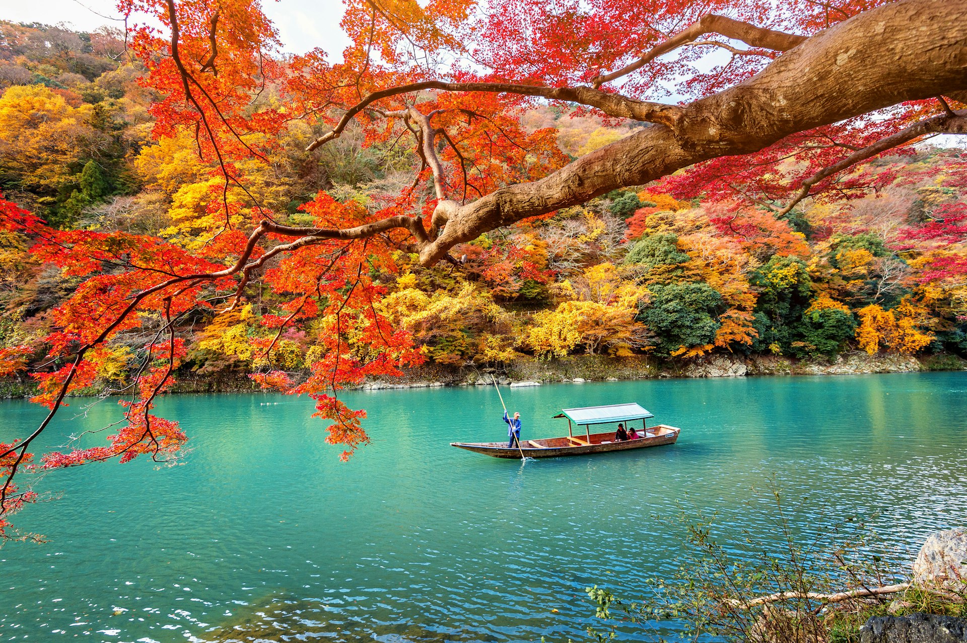 Boatman punting along a river that's surrounded by fall foliage on the outskirts of Kyoto, Japan