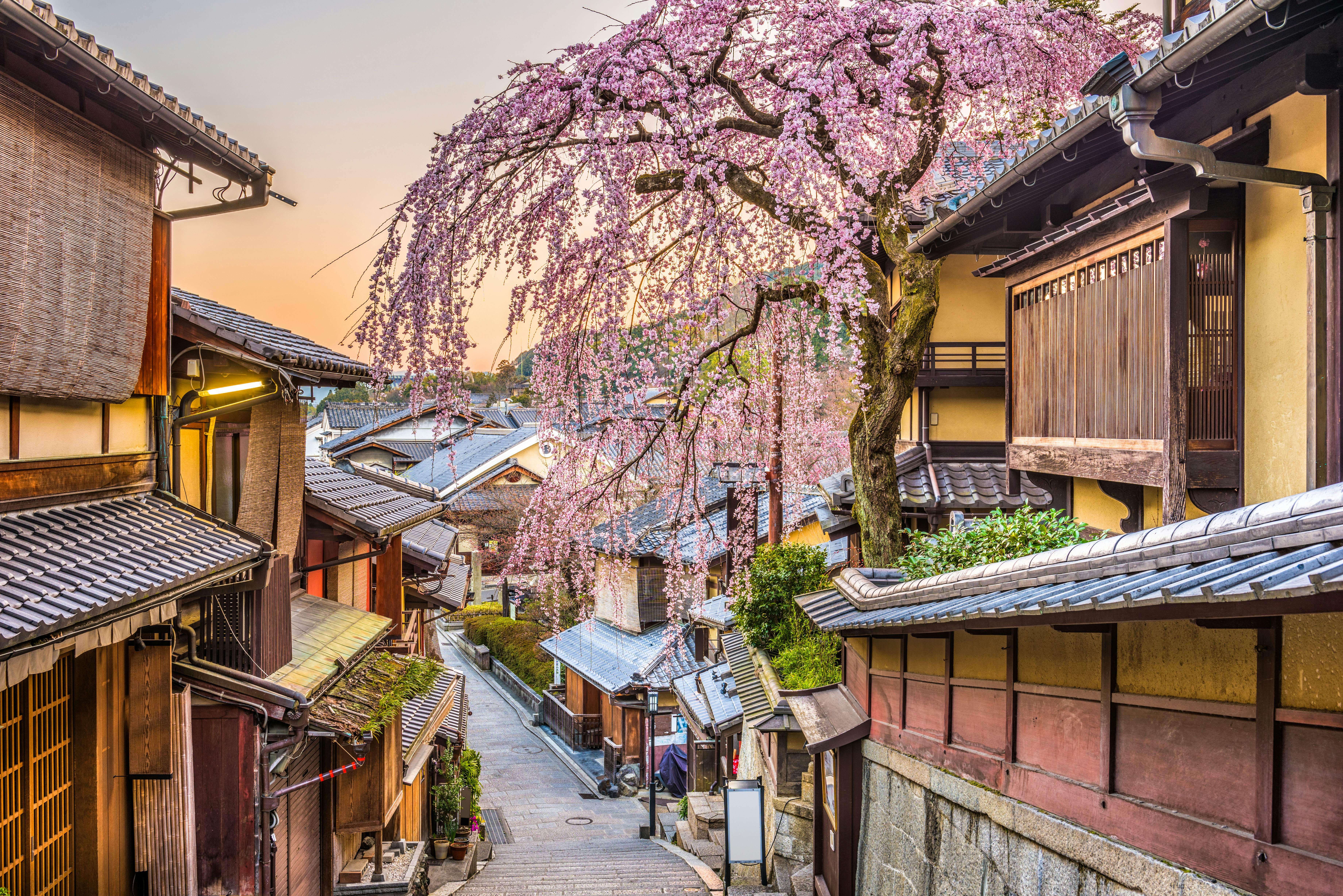 15 Things to Know About the Traditional Japanese Kitchen