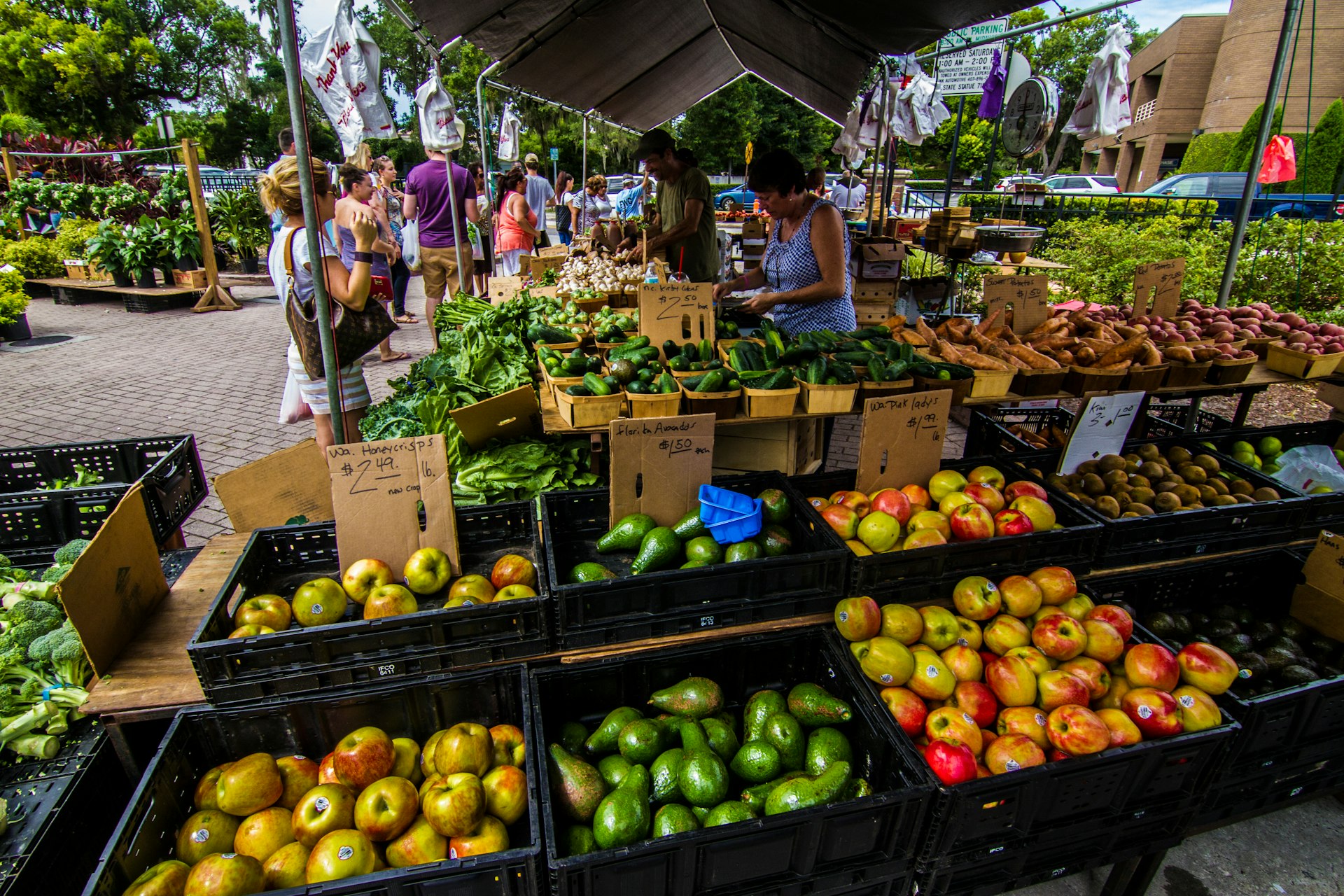 An outdoor stall of fruits and vegetables at the Winter Park farmers' Market