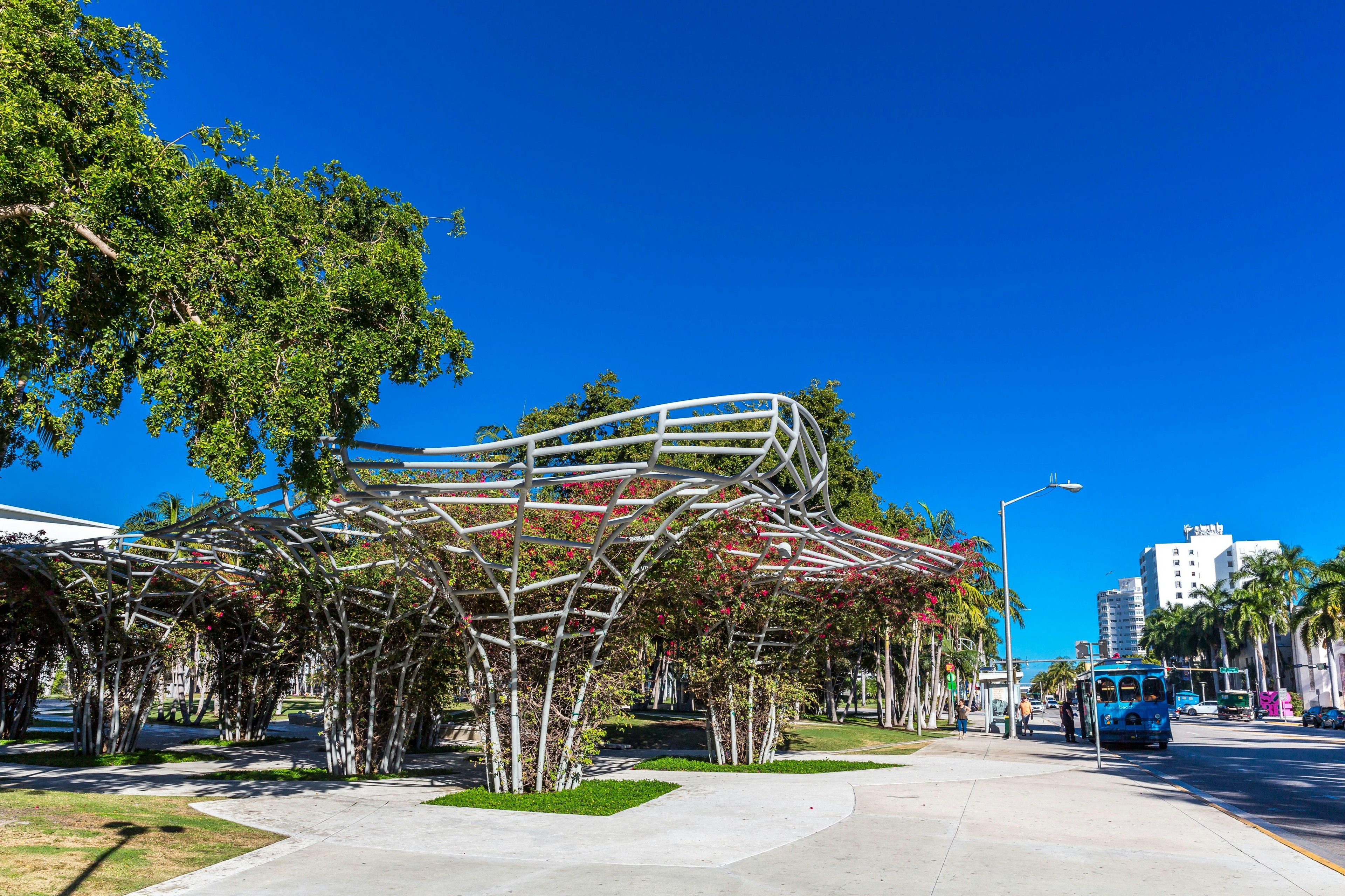 Bougainvillea in Soundscape Park, Lincoln Road, Miami Beach, Miami-Dade County, Florida, USA, Nordamerika