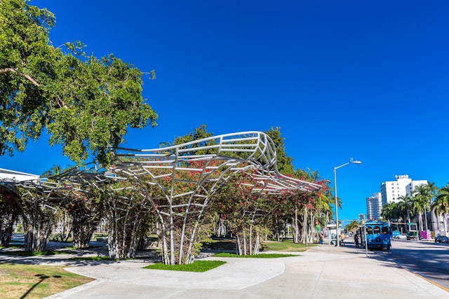 Bougainvillea in Soundscape Park, Lincoln Road, Miami Beach, Miami-Dade County, Florida, USA, Nordamerika