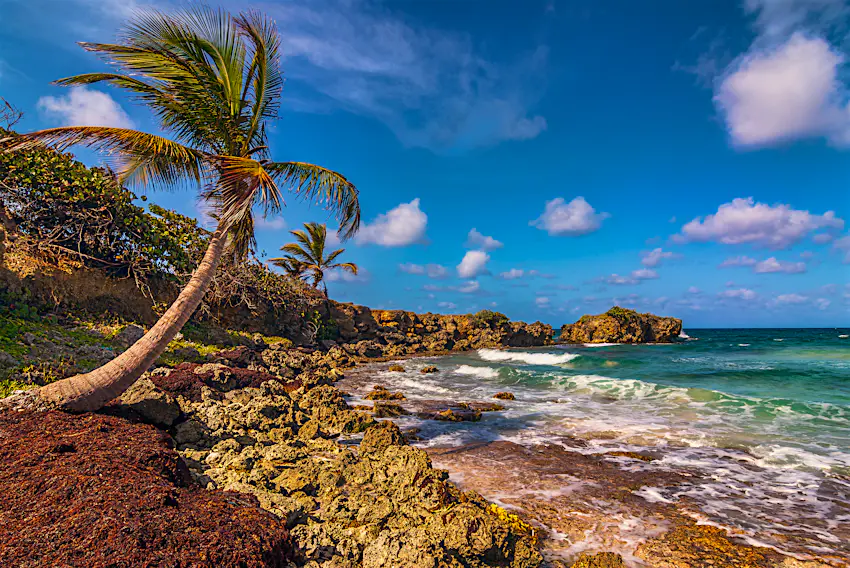 The Best Time To Go To Jamaica Lonely Planet The best time to go to jamaica lonely planet