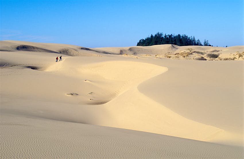 Oregon Dunes National Recreation Area an der zentralen Küste von Oregon Wanderer in den Umpqua Sand Dunes im Oregon Dunes National Recreation Area an der zentralen Küste von Oregon