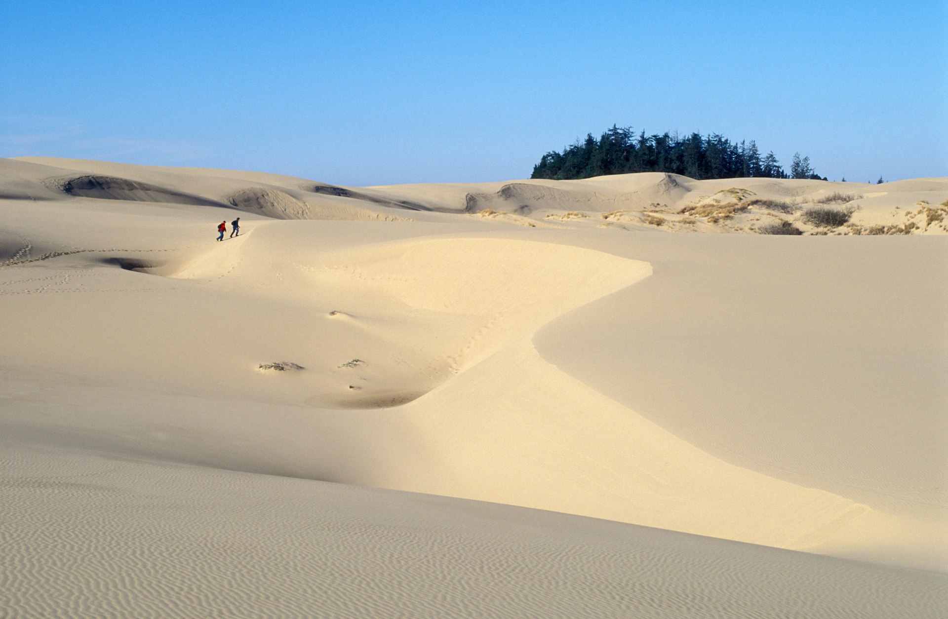 Hikers at Umpqua Sand Dunes in the Oregon Dunes National Recreation Area on the central Oregon coast