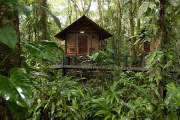 A wood cabin in the rainforest in Tortuguero village.