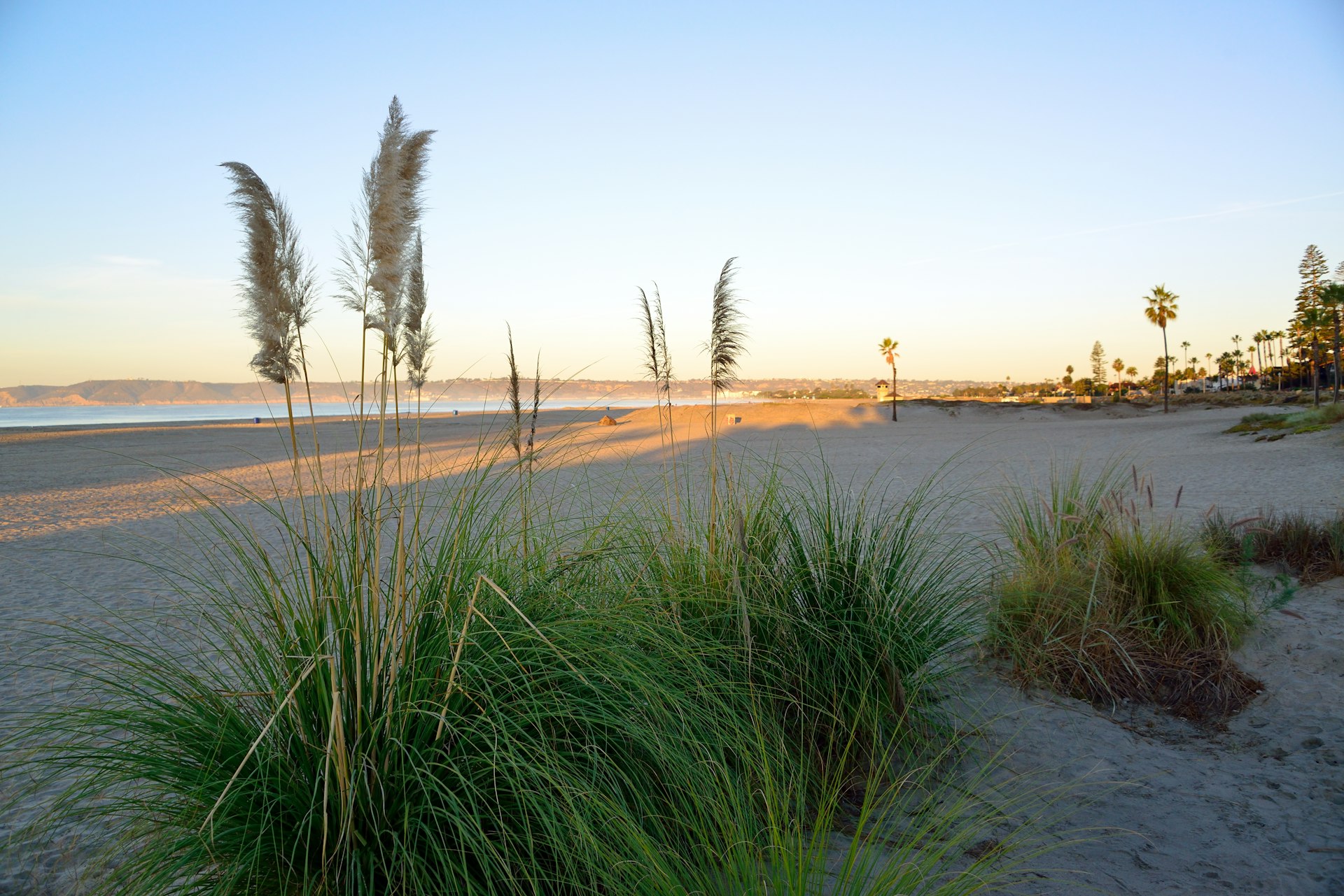 Coronado Beach