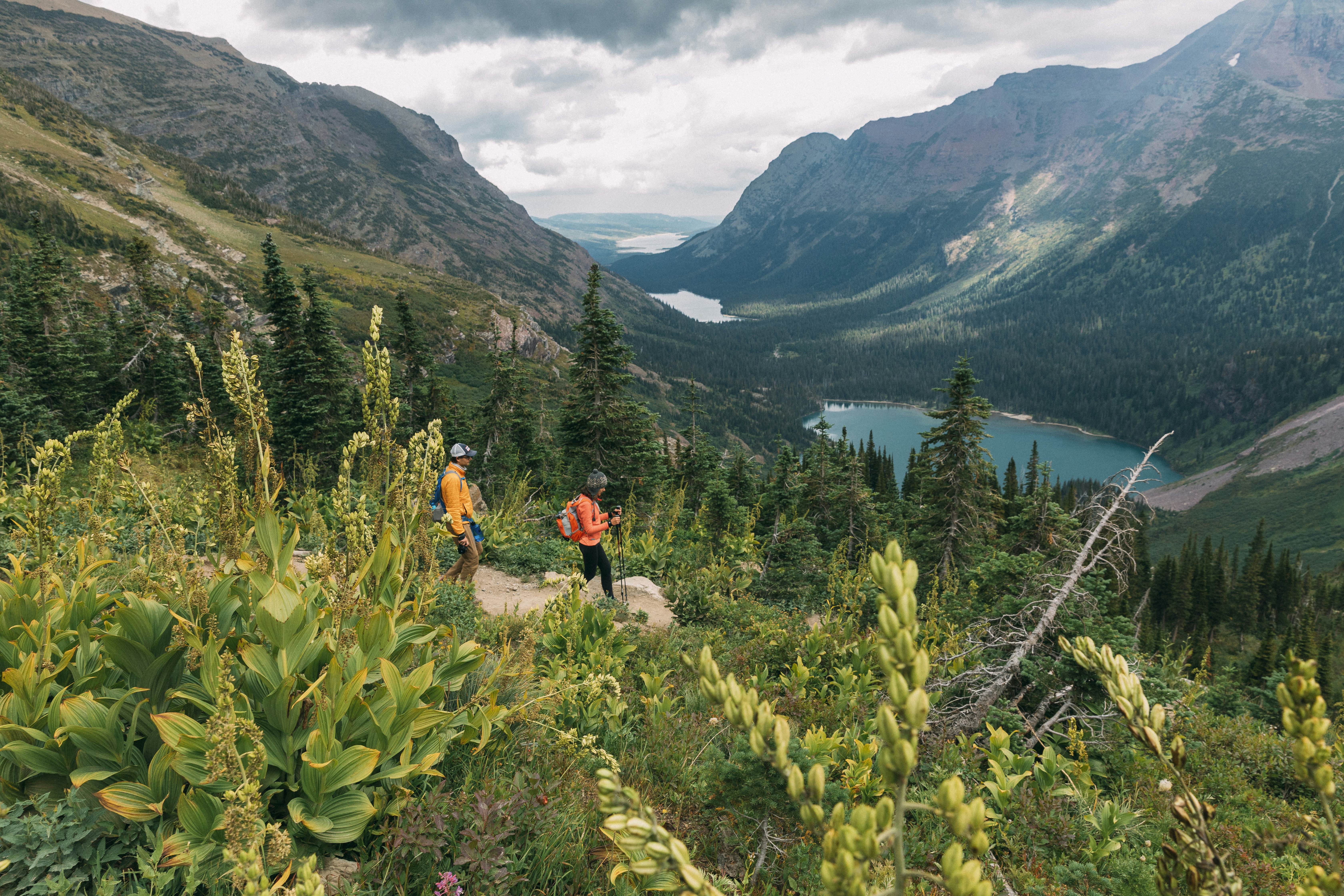 Best hikes in Glacier National Park - Lonely Planet