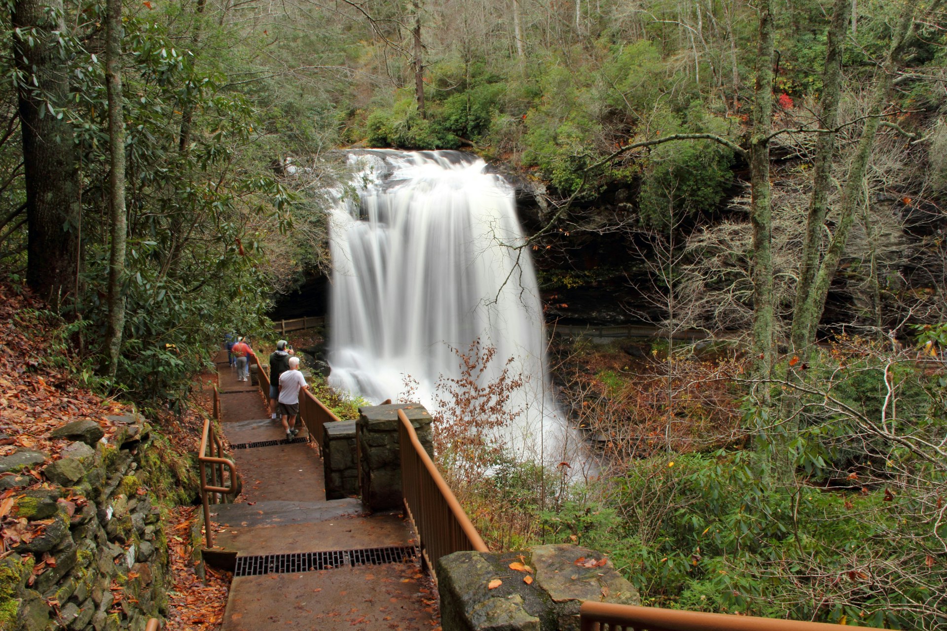 People view a waterfall from a path through woodland