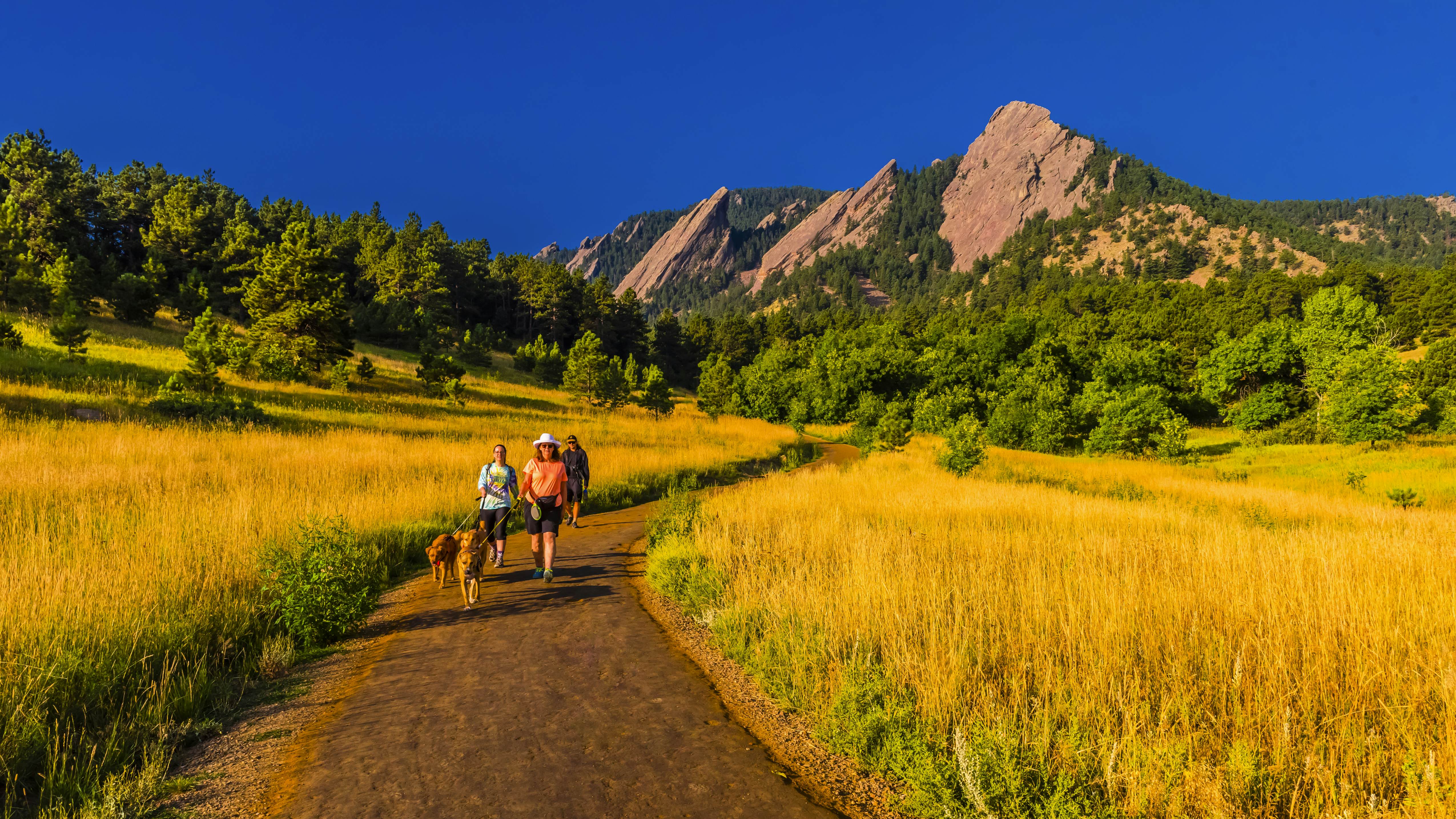 Parking Wars: Finding a Spot for Your Colorado Hike