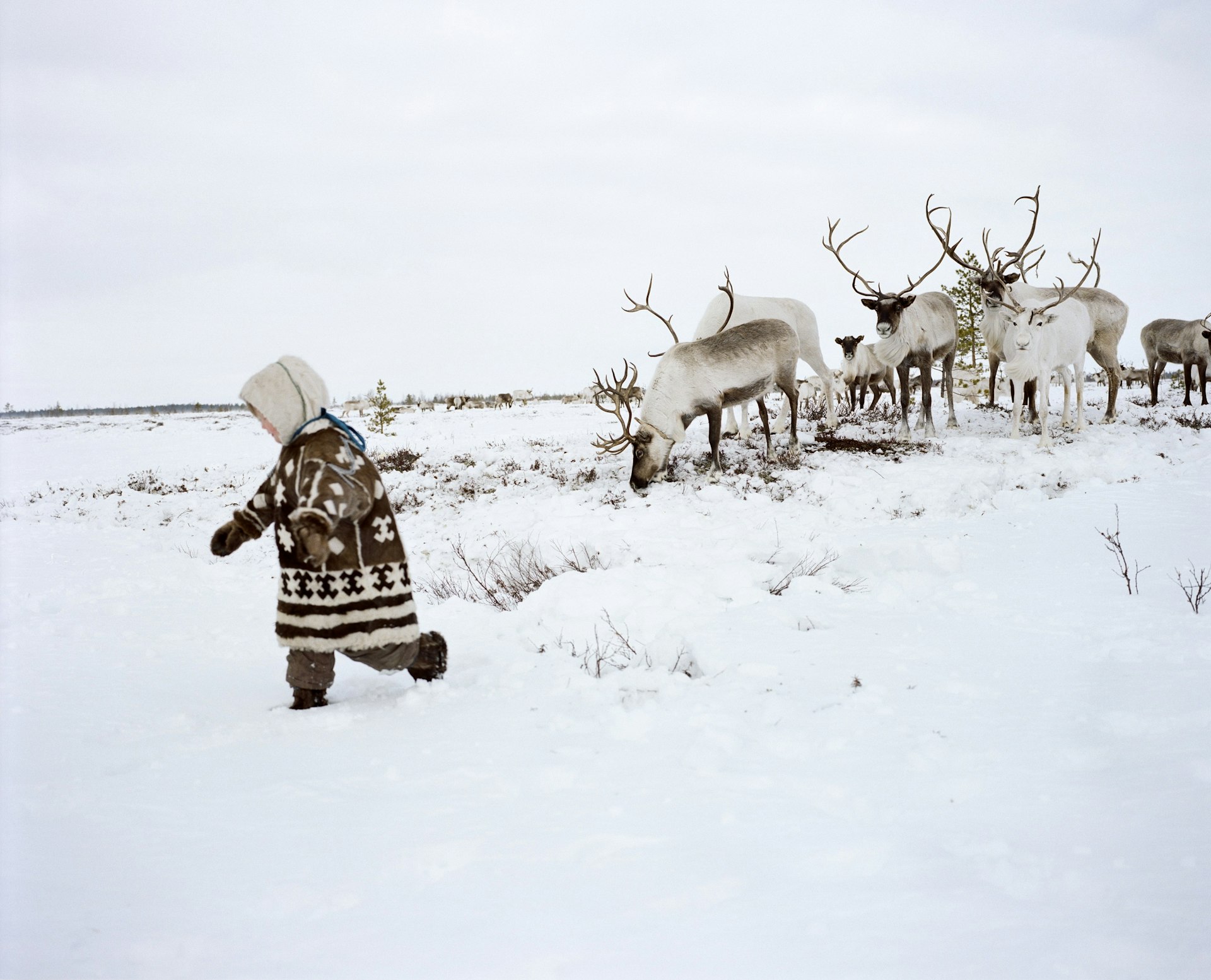 Forest Nenets child, Khanty-Mansiysk - 20087_MTU_P-40417_034-03.jpg