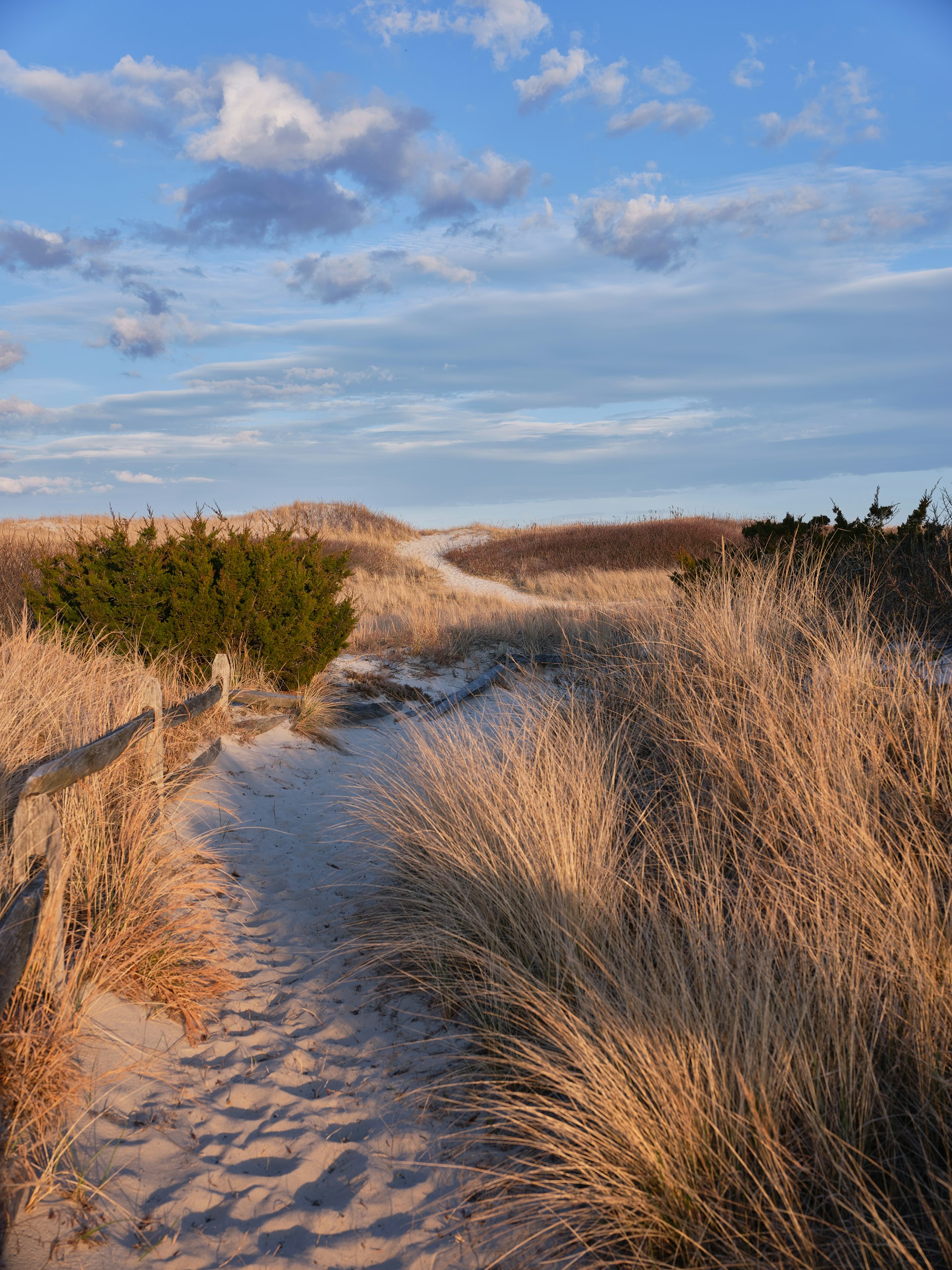 A path leading through sand dunes at sunset