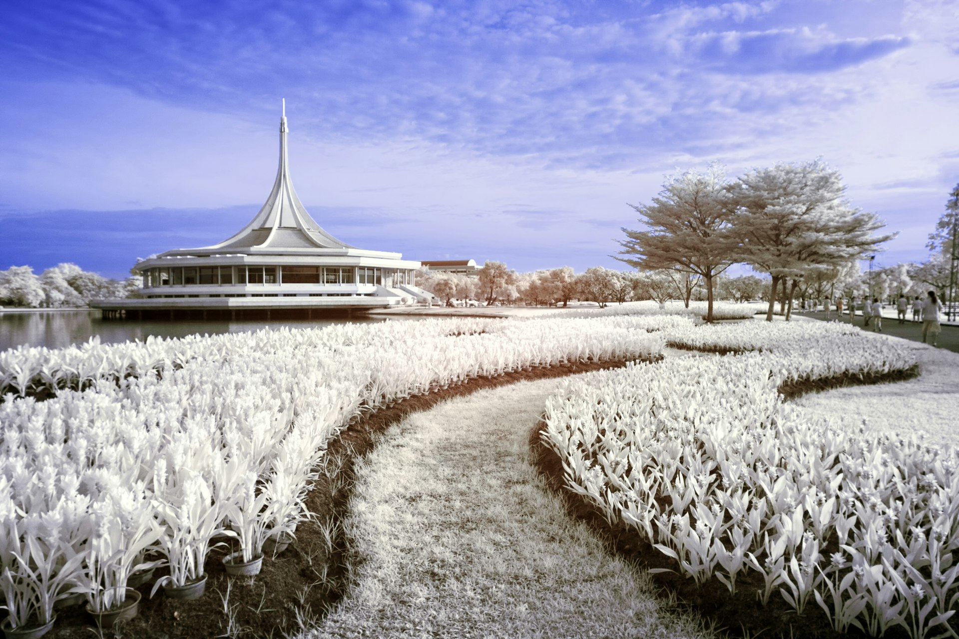 A snow-covered Ratchamangkhala Pavilion in Rama IX National Park just outside of Bangkok, with snow-covered flower beds too.
