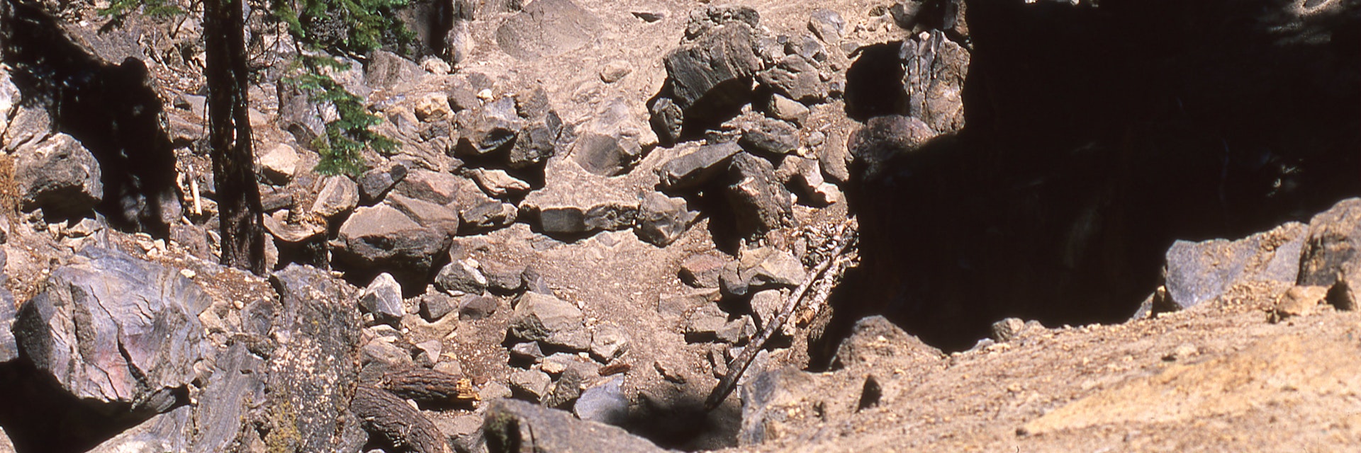 Earthquake Fault on Minaret Road near Mammoth Lakes California