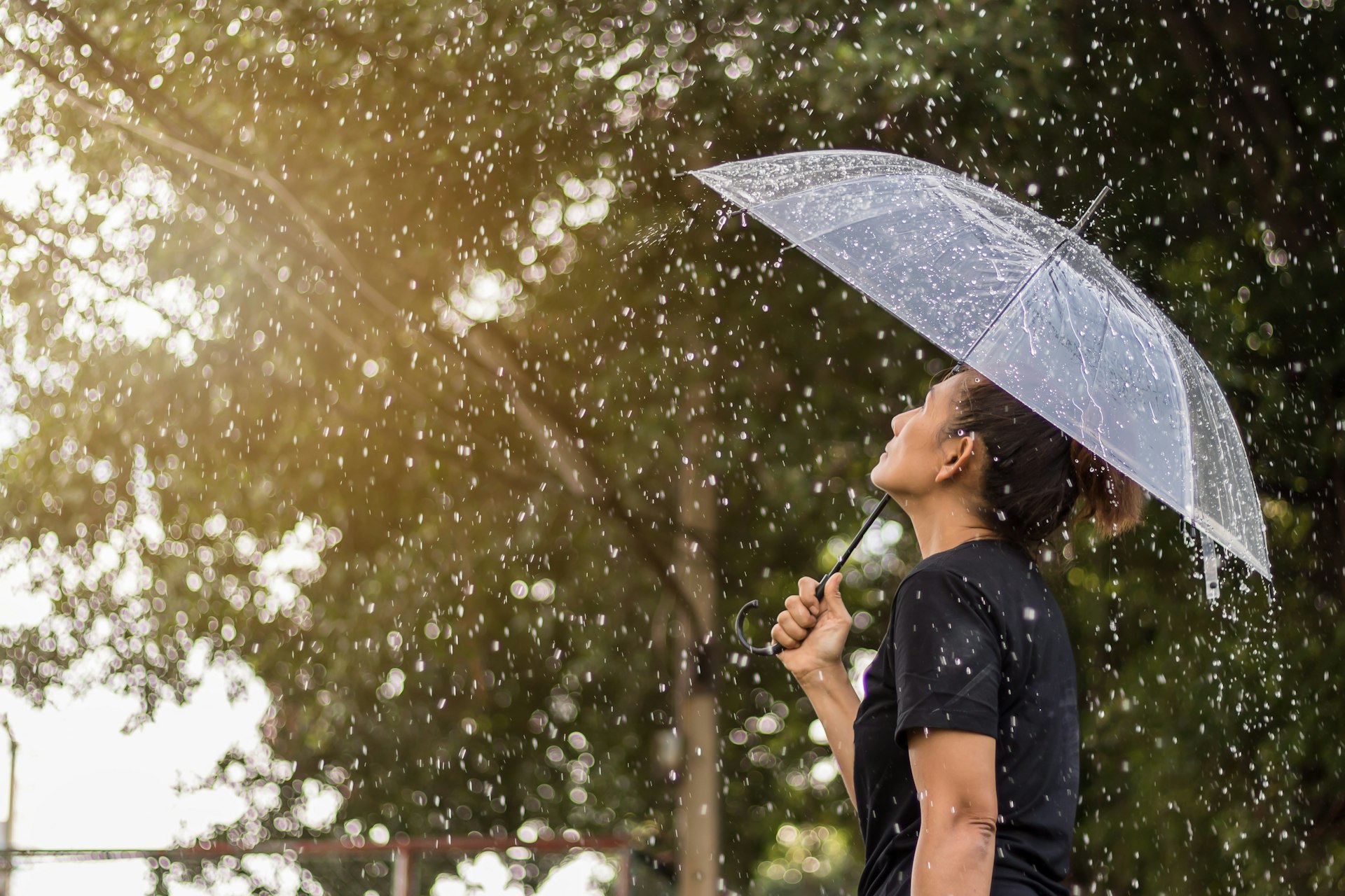 Side view of a Thai Woman standing with Umbrella against a tree during a rain storm in Bankok