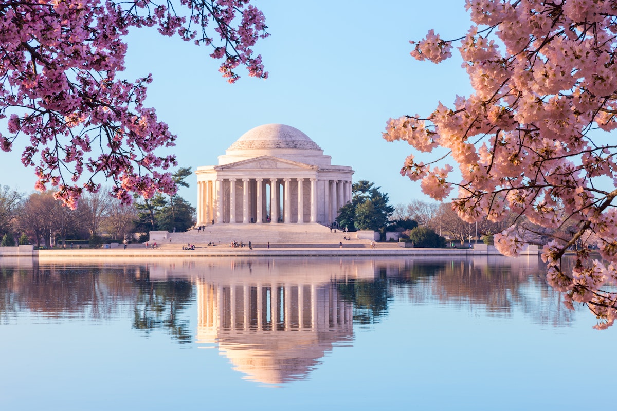 The Jefferson Memorial reflected in Tidal Basin with cherry blossoms.