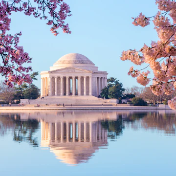 The Jefferson Memorial reflected in Tidal Basin with cherry blossoms.