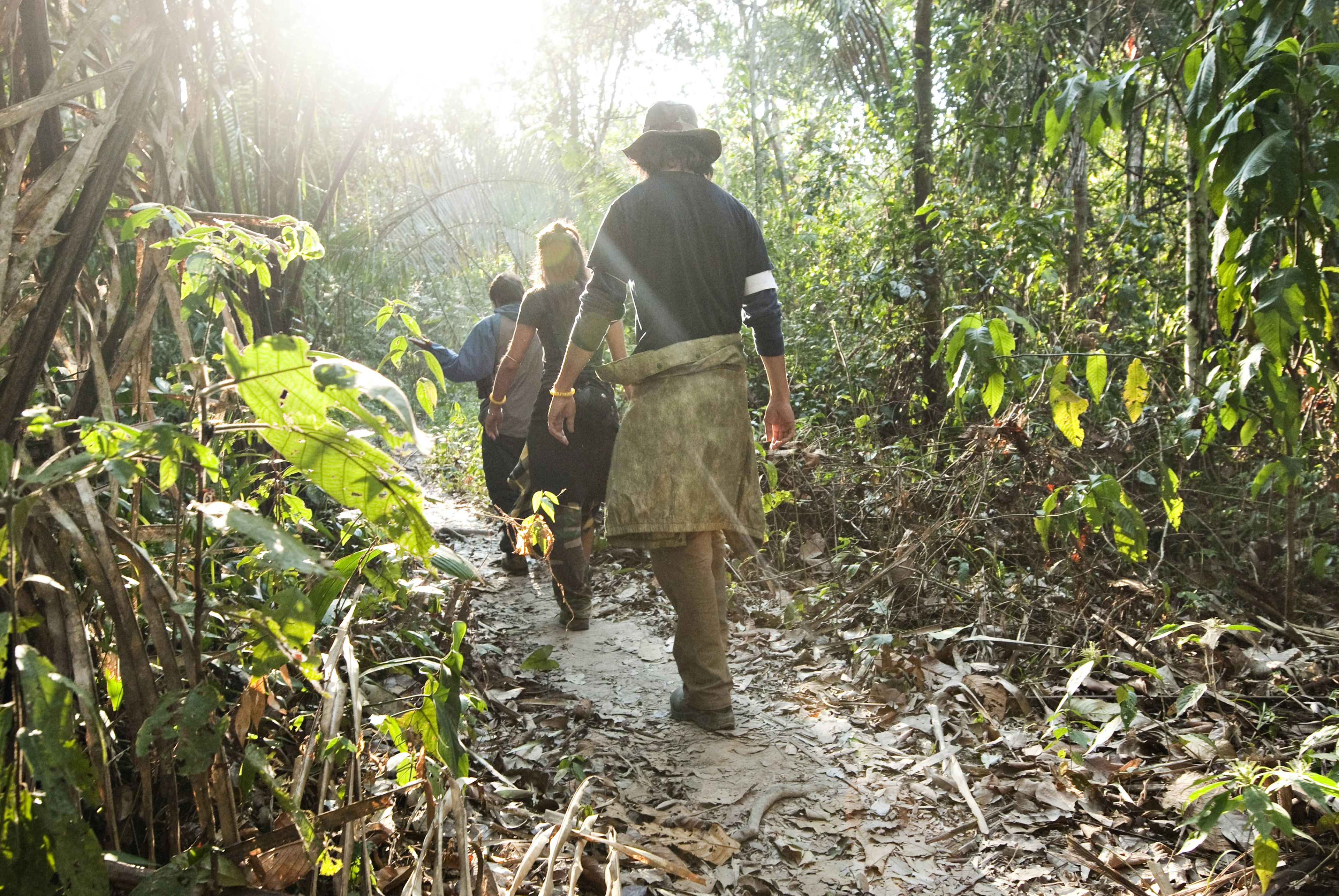 Three people walk through the amazon rainforest during the mid morning.