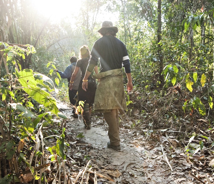 Three people walk through the amazon rainforest during the mid morning.
