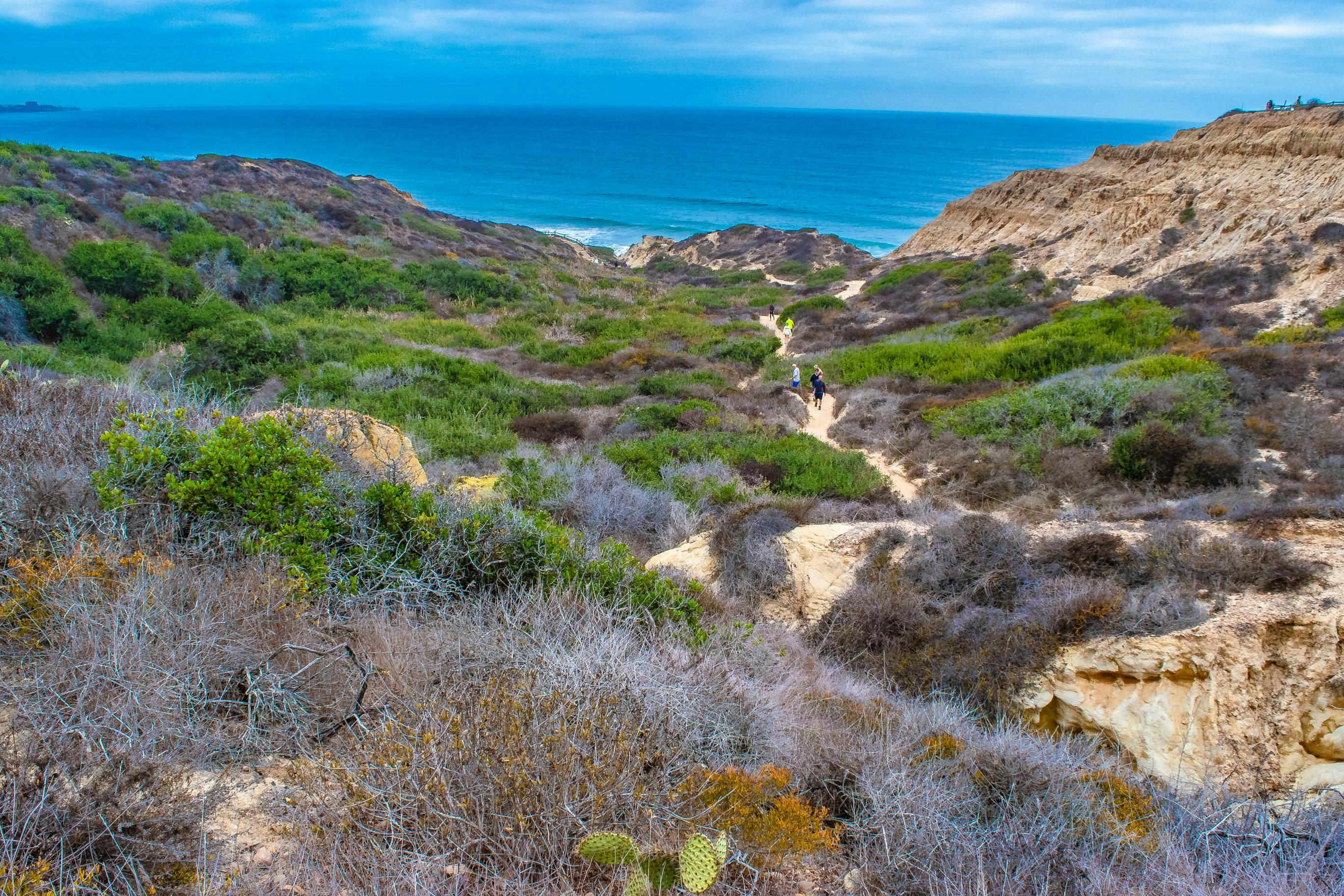 Best hikes in San Diego Lonely
