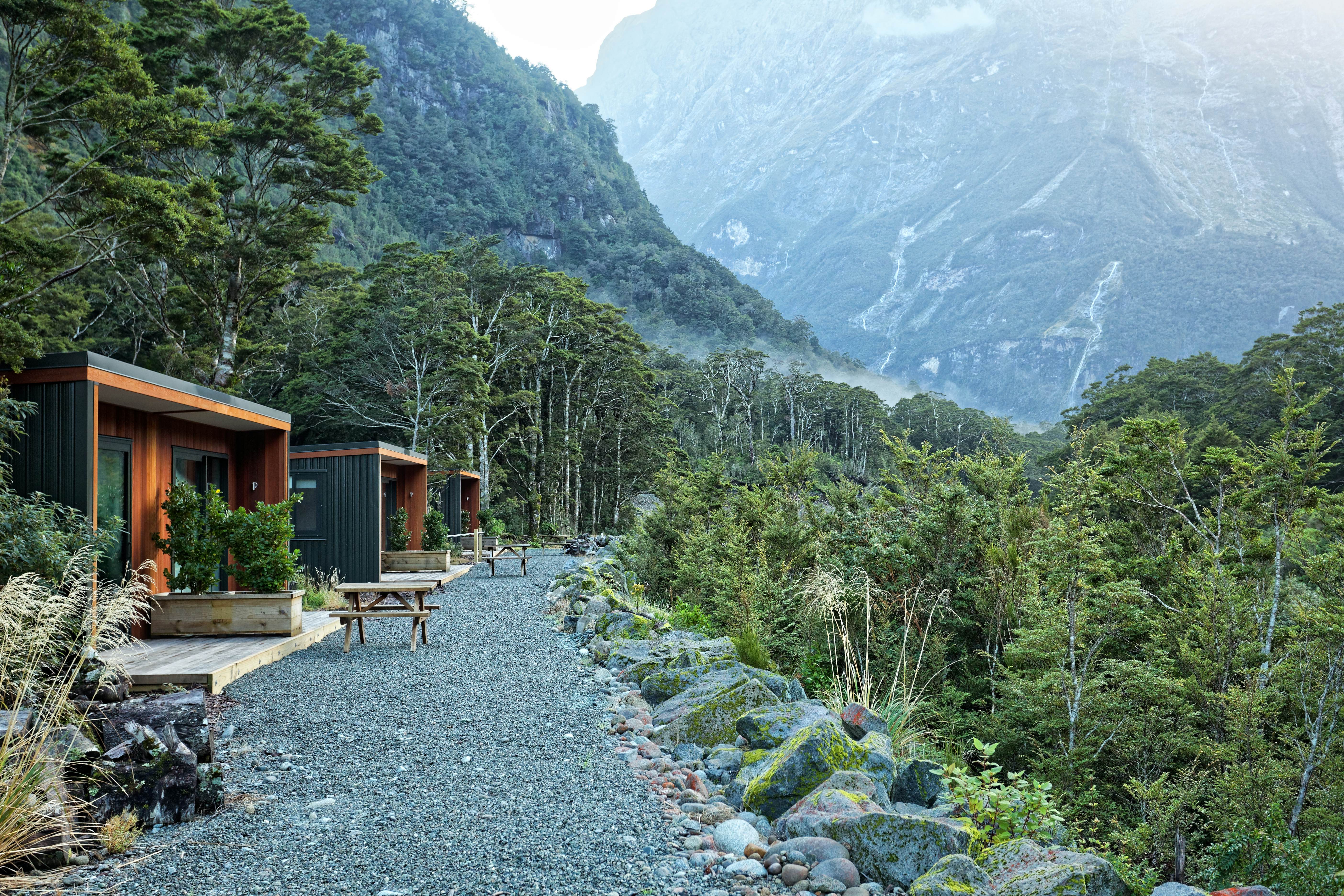 New Zealand best road trips Lonely